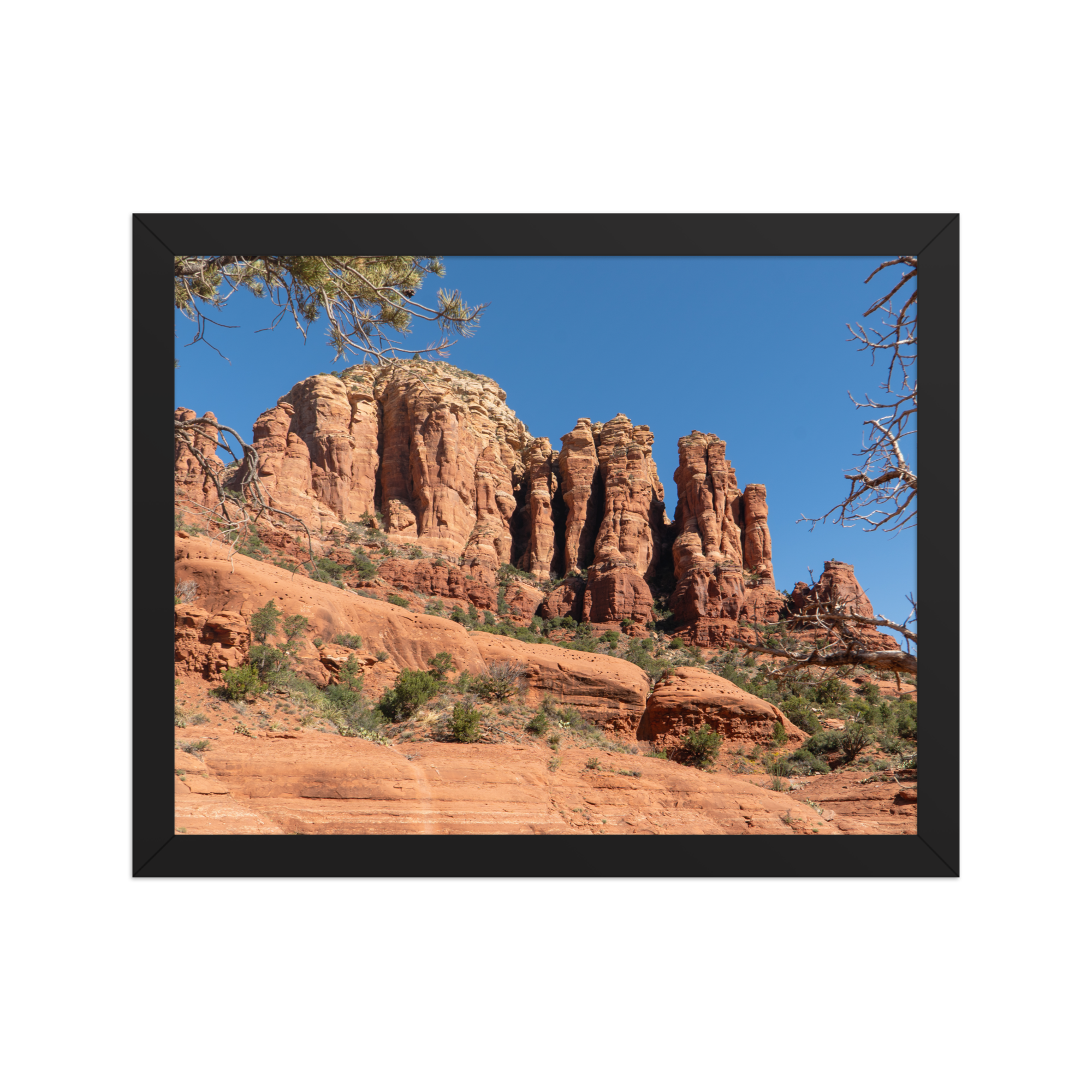premium-luster-photo-paper-framed-poster-(in)-black-11x14-front-6a1db4a22578a.png