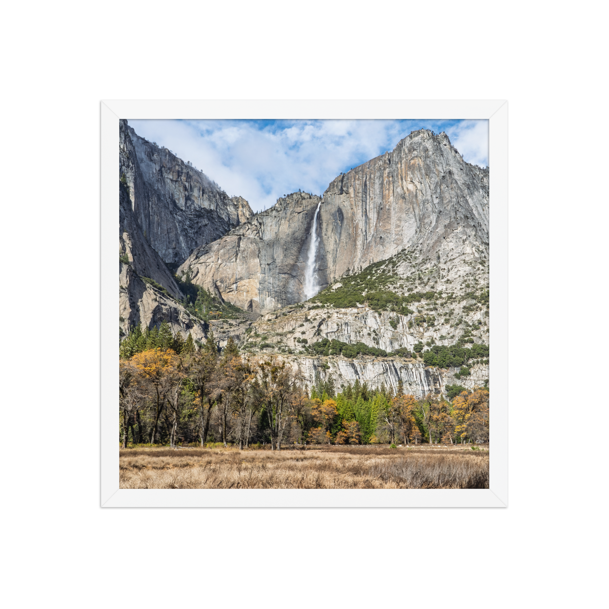 premium-luster-photo-paper-framed-poster-(in)-white-16x16-front-6a1db41f83b76.png