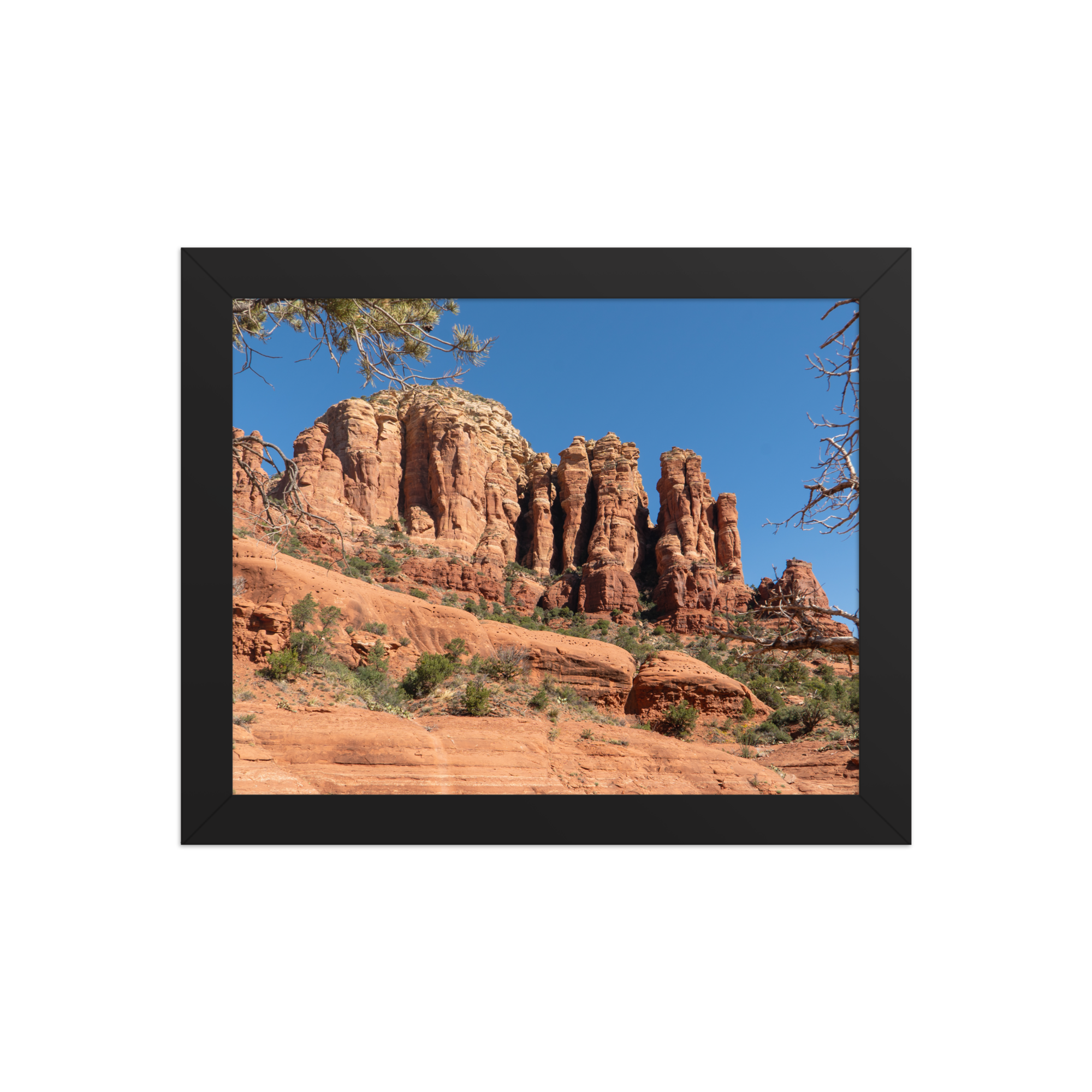 premium-luster-photo-paper-framed-poster-(in)-black-8x10-front-6a1db4a22627a.png
