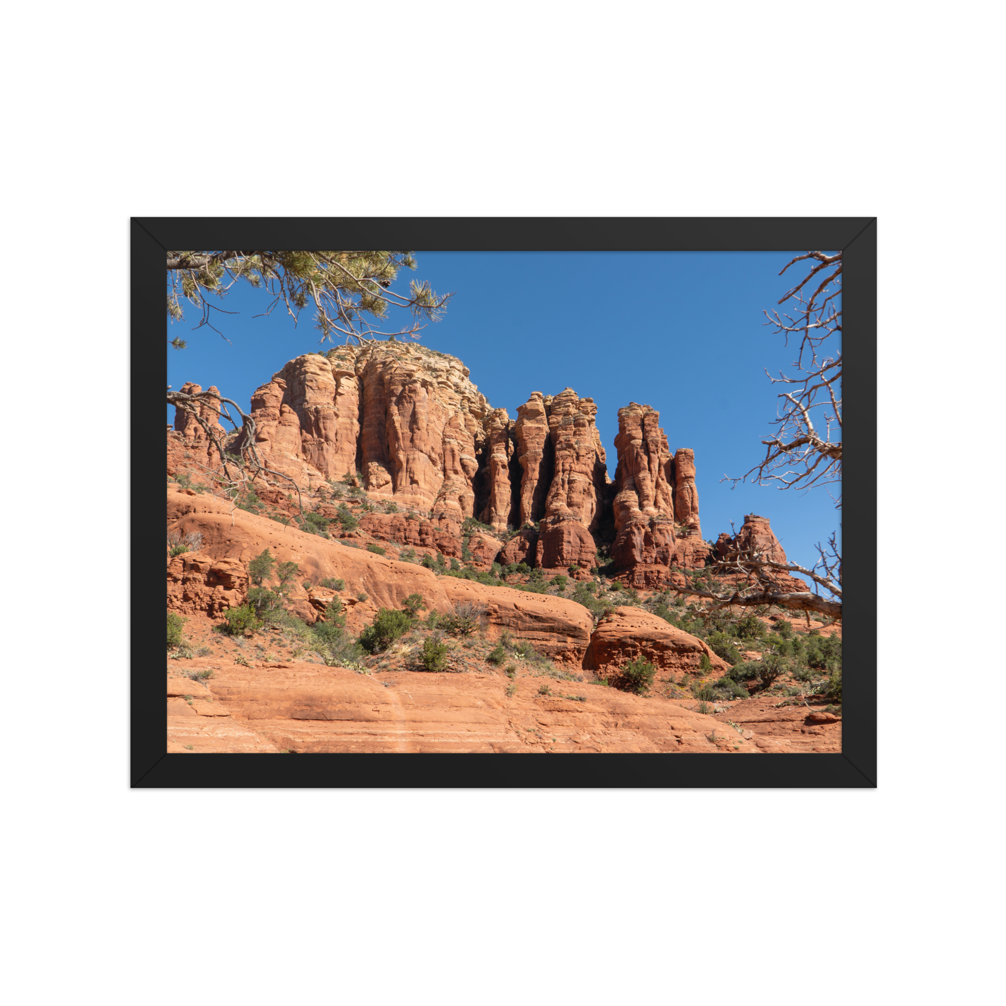 premium-luster-photo-paper-framed-poster-(in)-black-12x16-front-6a1db4a226441.png