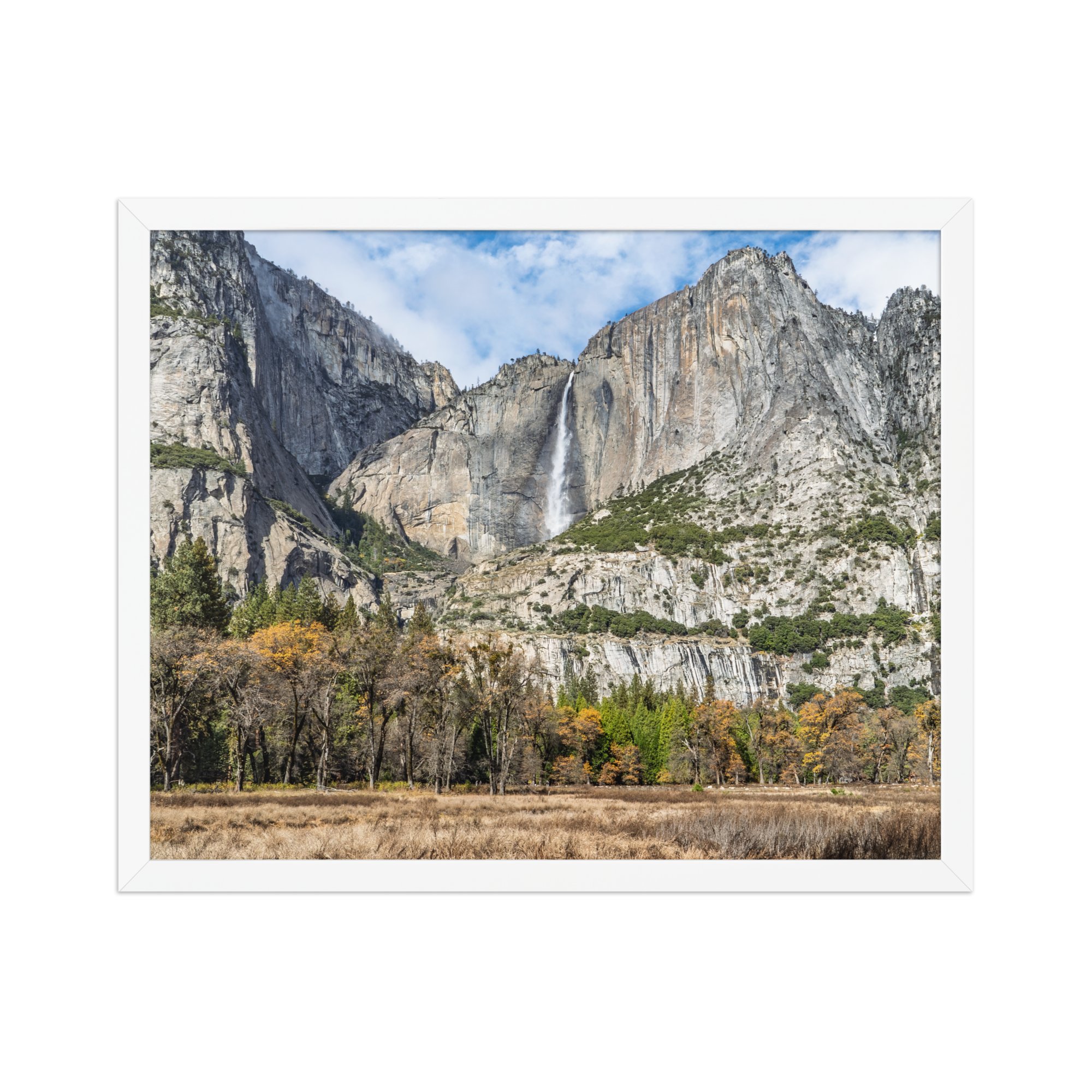 premium-luster-photo-paper-framed-poster-(in)-white-16x20-front-6a1db41f83c26.png