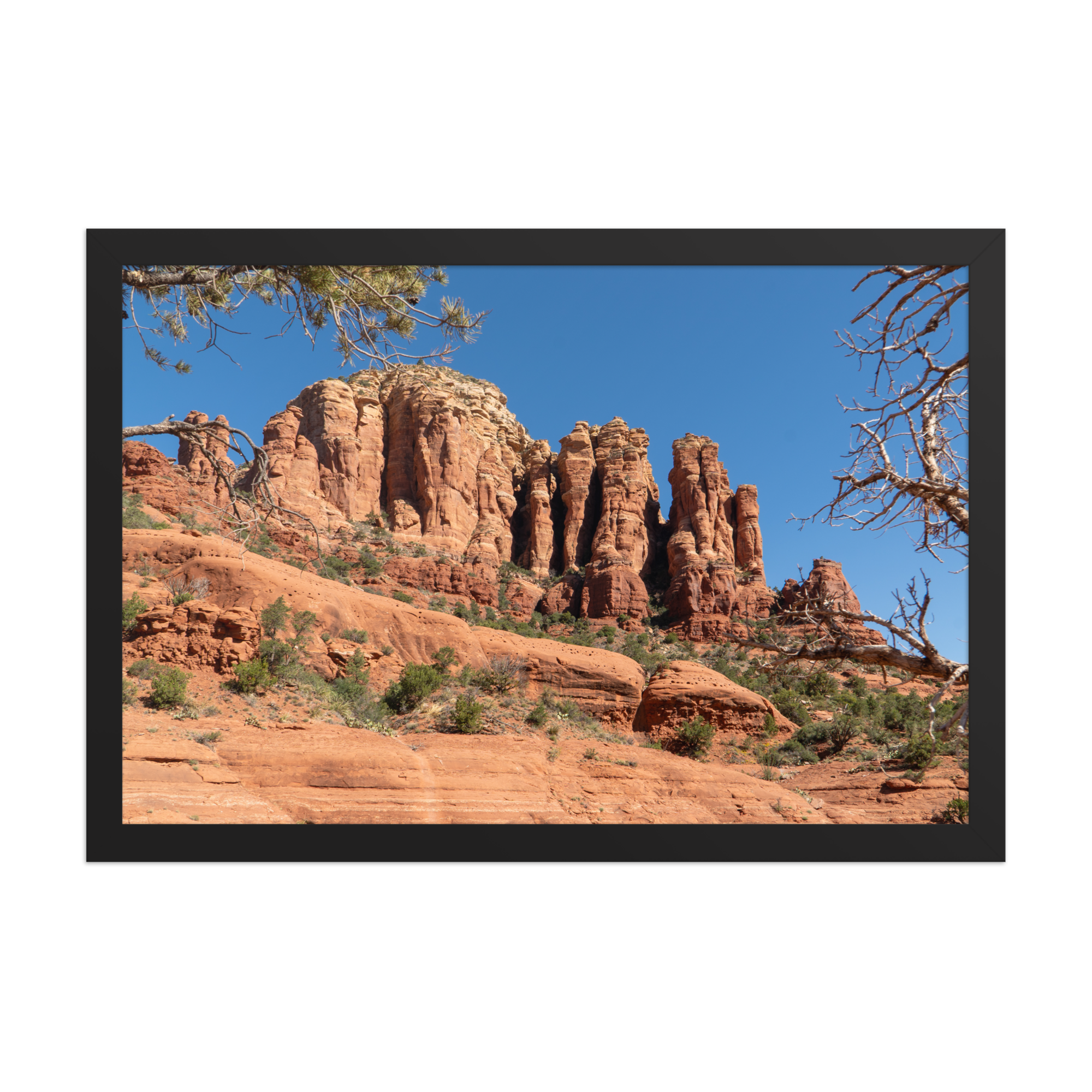 premium-luster-photo-paper-framed-poster-(in)-black-12x18-front-6a1db4a22654a.png