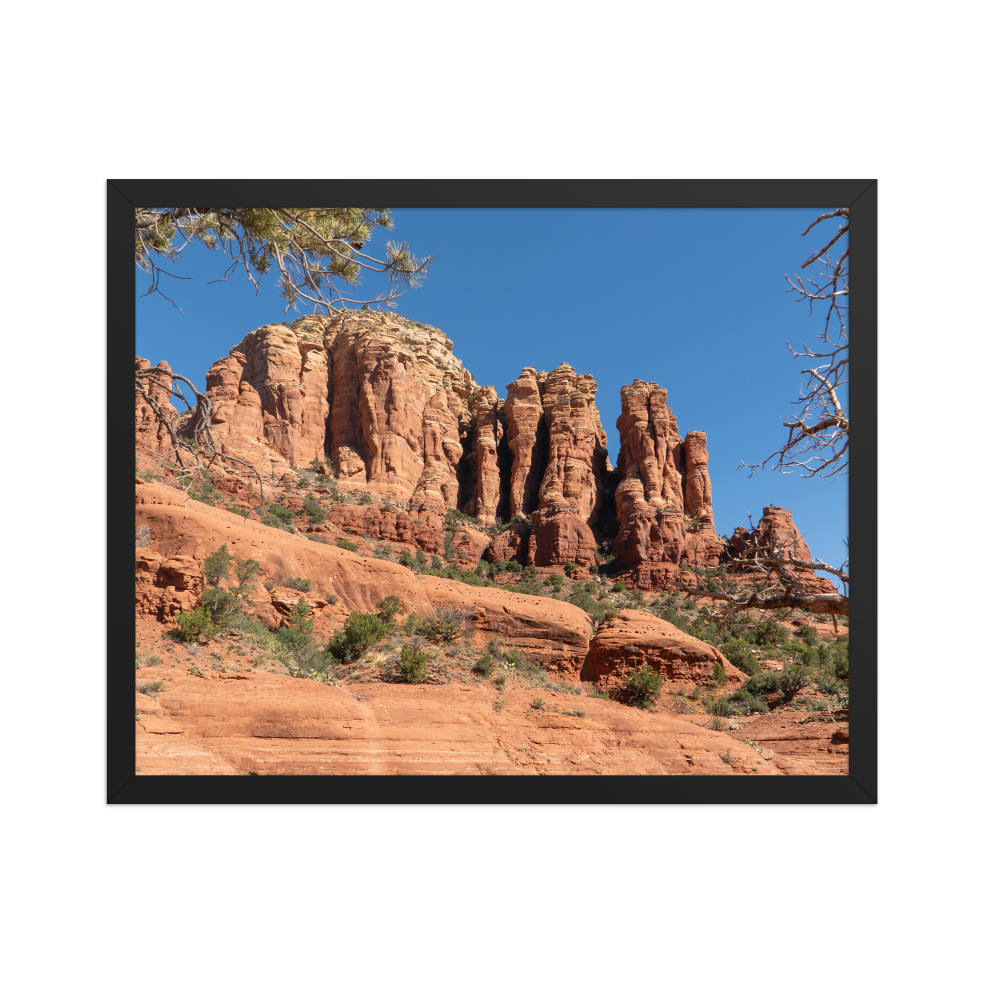premium-luster-photo-paper-framed-poster-(in)-black-16x20-front-6a1db4a22664b.png