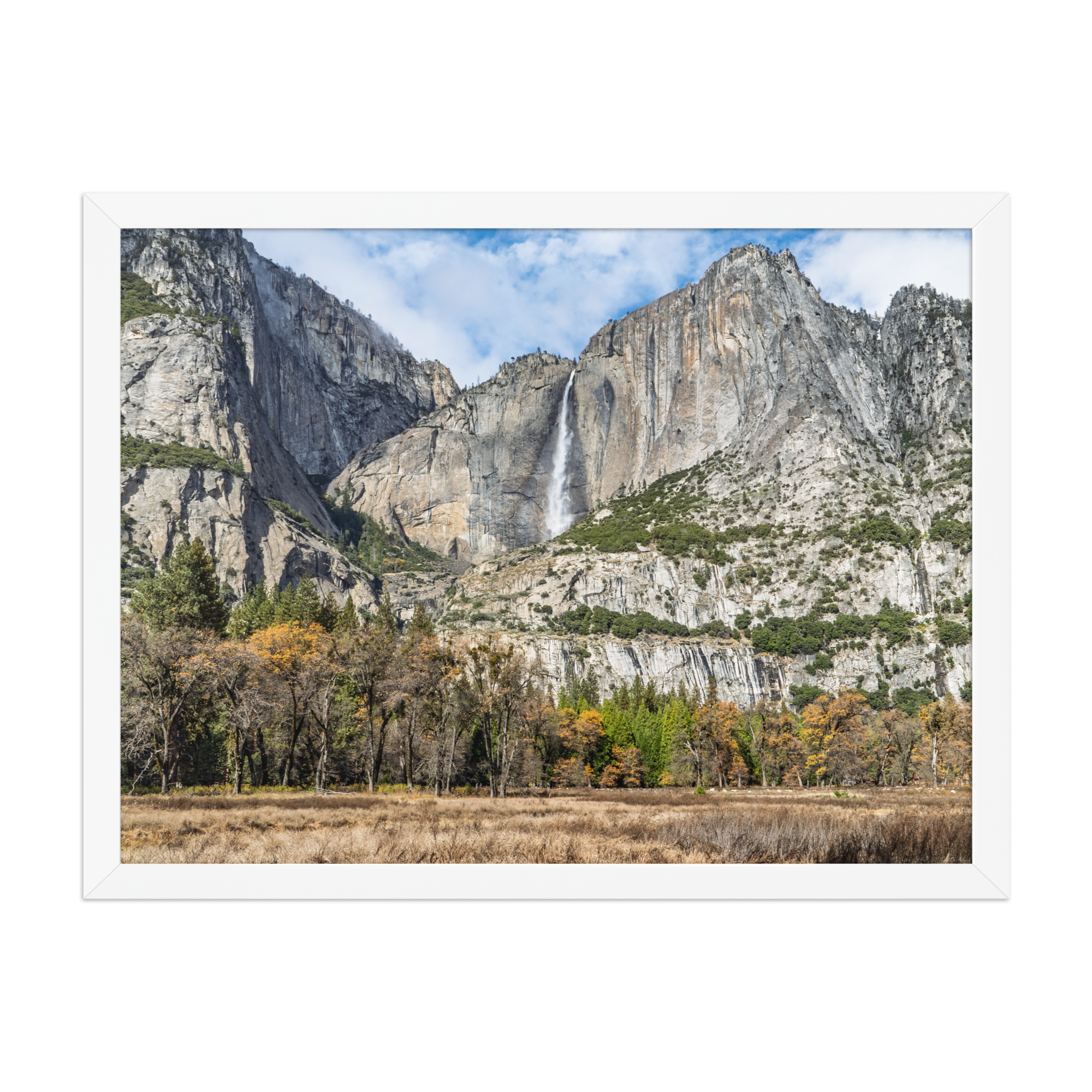 premium-luster-photo-paper-framed-poster-(in)-white-18x24-front-6a1db41f83d45.png
