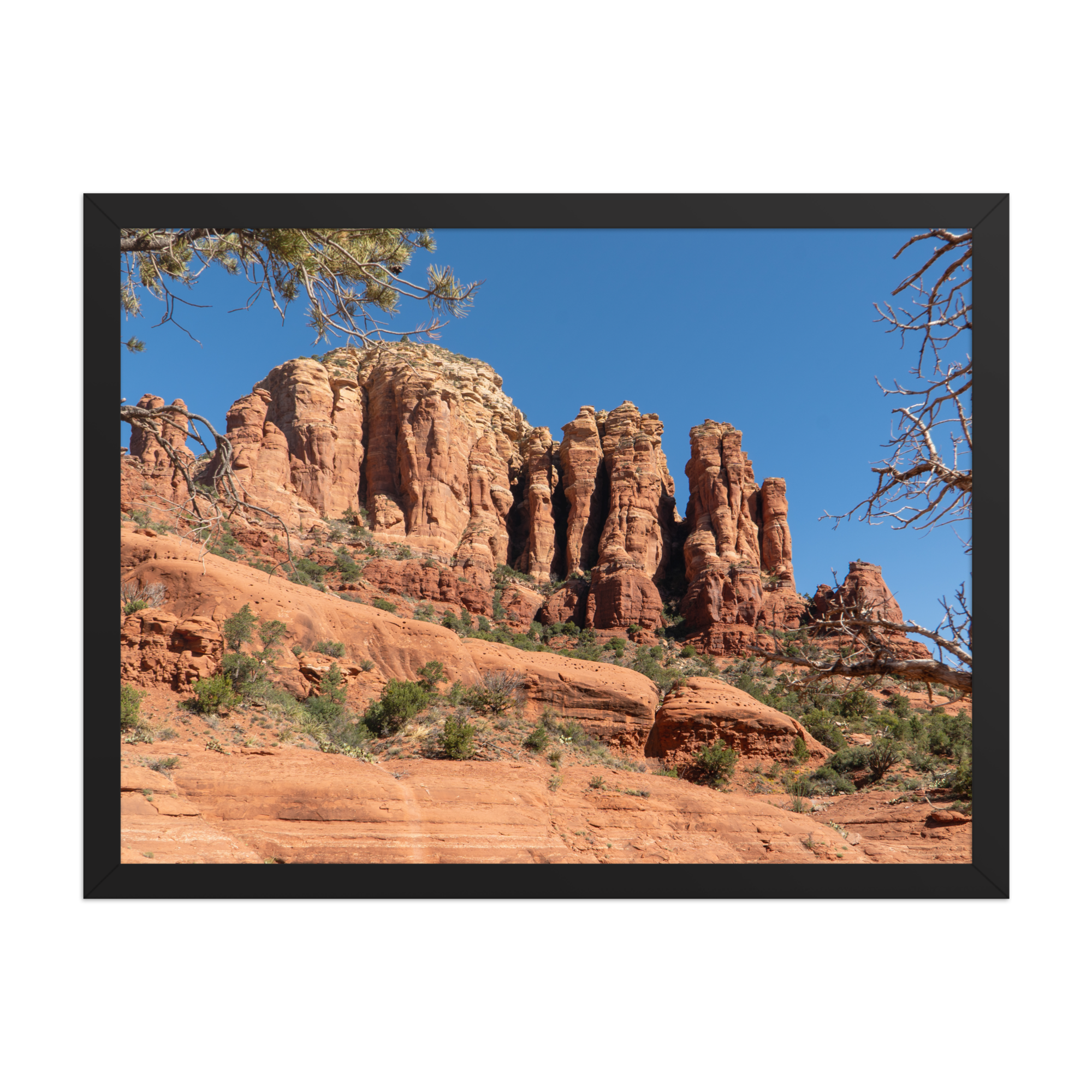premium-luster-photo-paper-framed-poster-(in)-black-18x24-front-6a1db4a226741.png