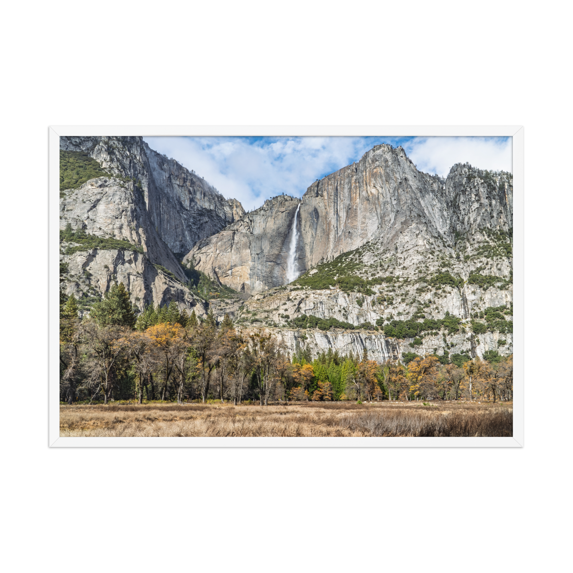 premium-luster-photo-paper-framed-poster-(in)-white-24x36-front-6a1db41f83dd4.png