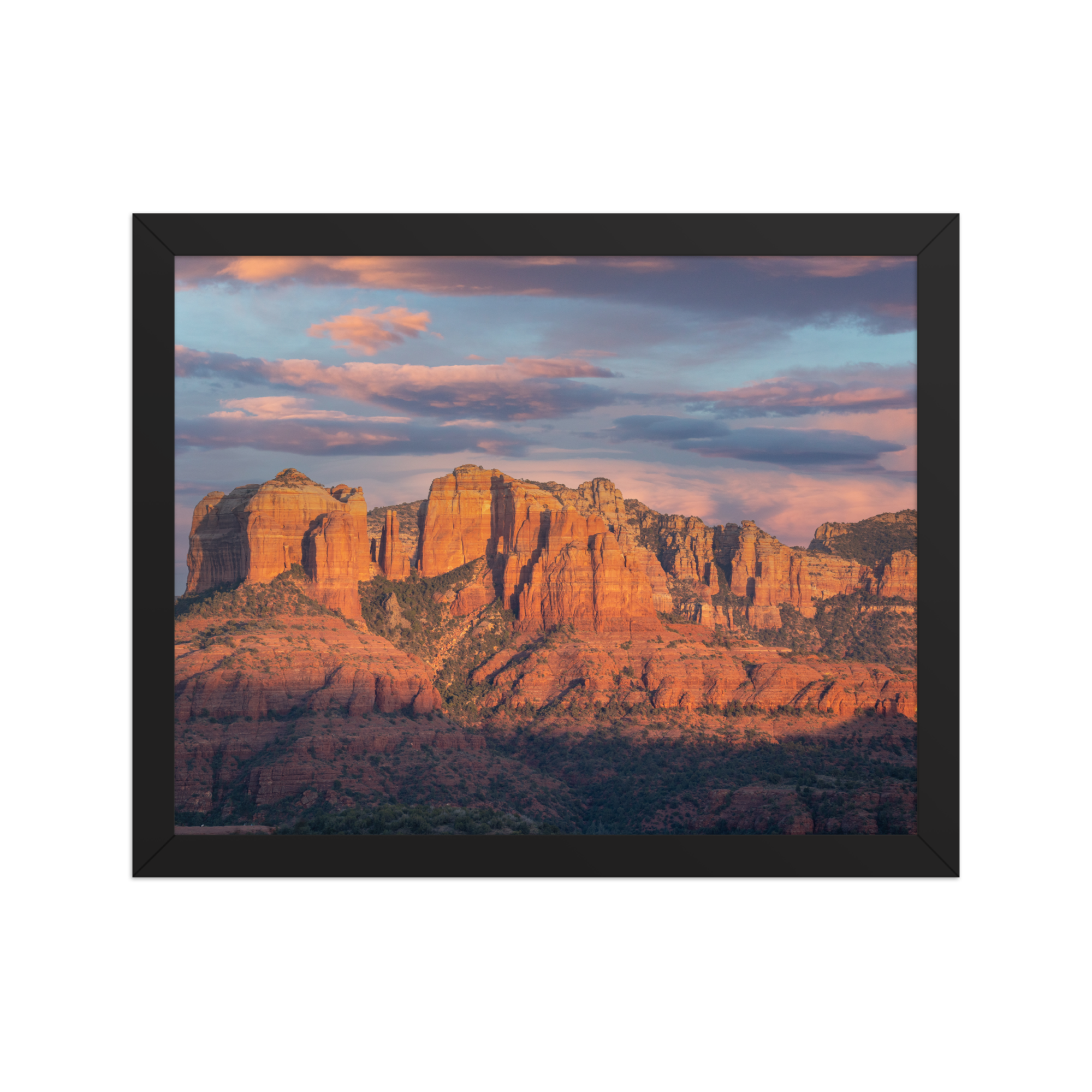 premium-luster-photo-paper-framed-poster-(in)-black-11x14-front-6a1db4d7a9983.png