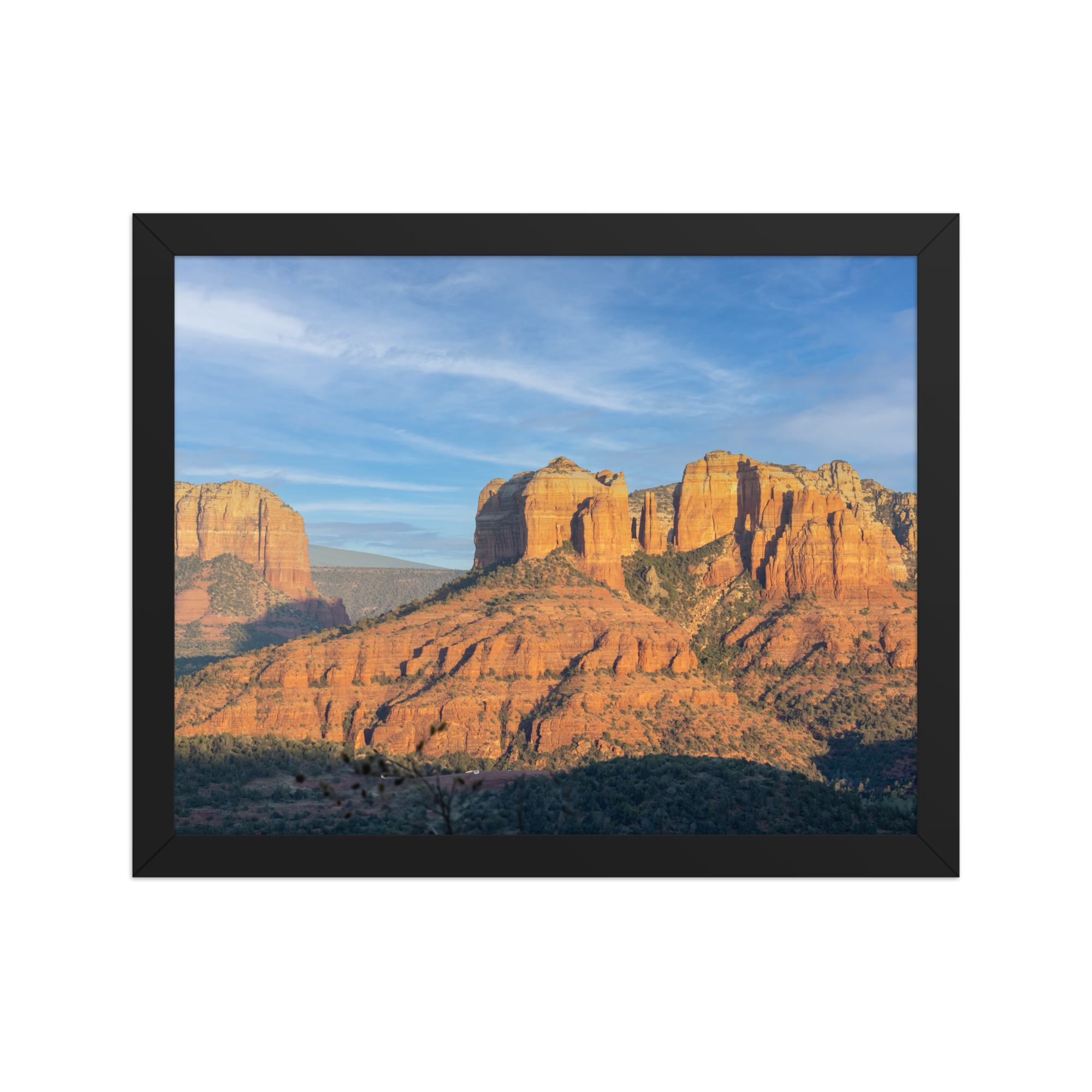 premium-luster-photo-paper-framed-poster-(in)-black-11x14-front-6a1db4ec90e25.png