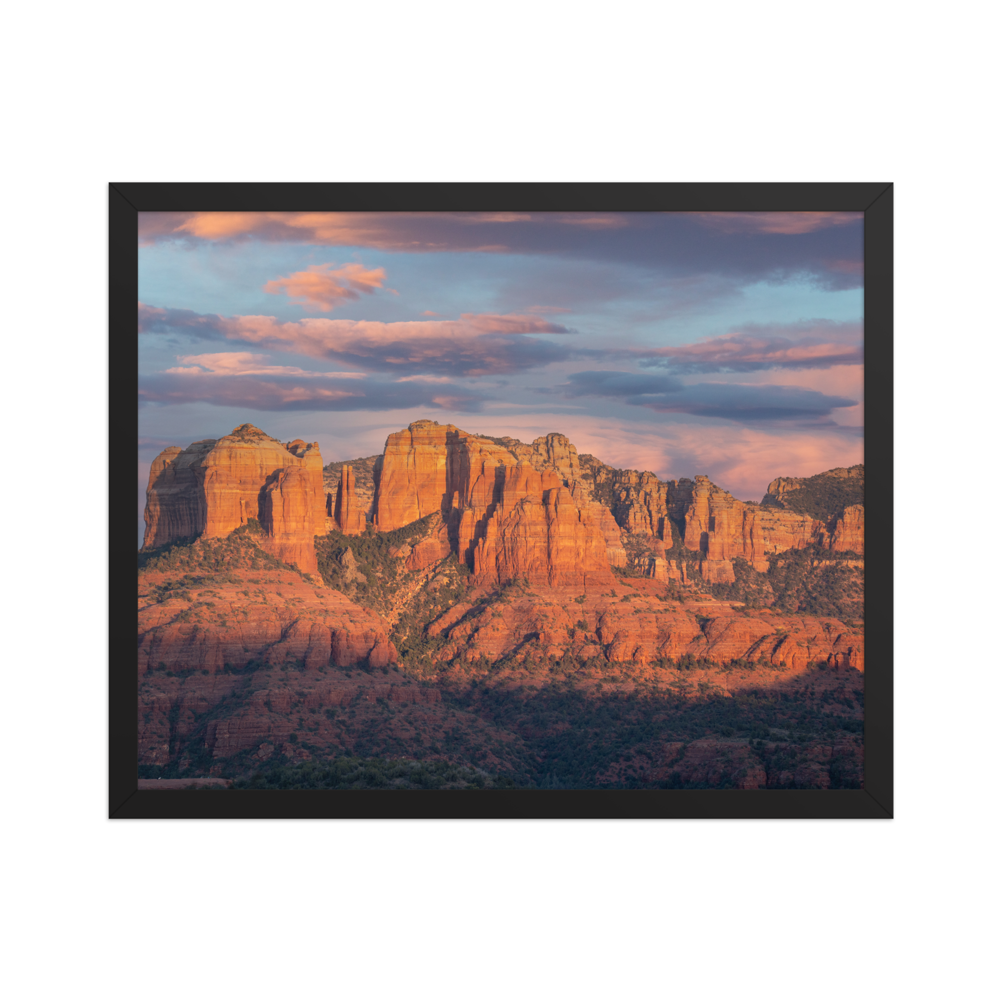 premium-luster-photo-paper-framed-poster-(in)-black-16x20-front-6a1db4d7aa9bf.png