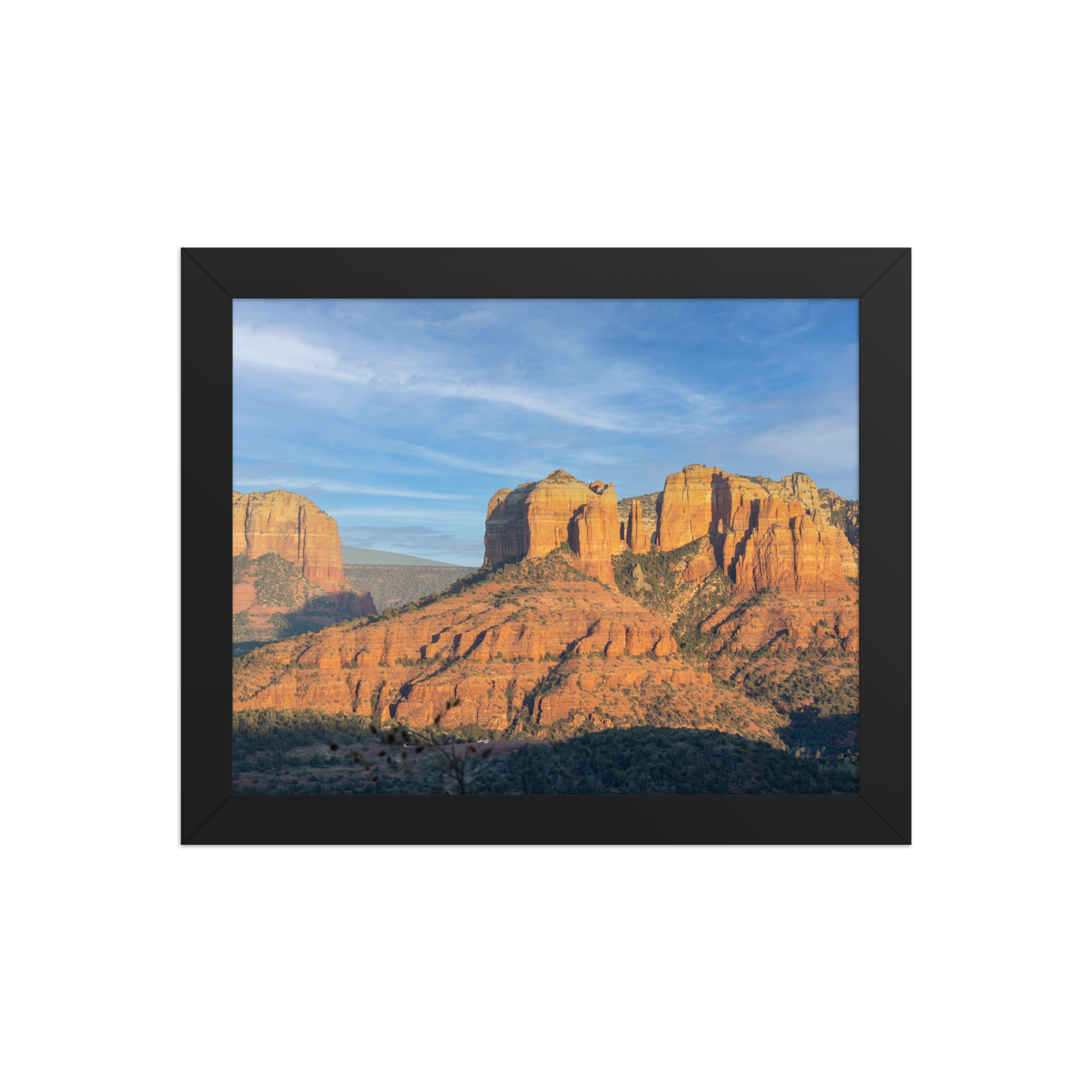 premium-luster-photo-paper-framed-poster-(in)-black-8x10-front-6a1db4ec91e65.png