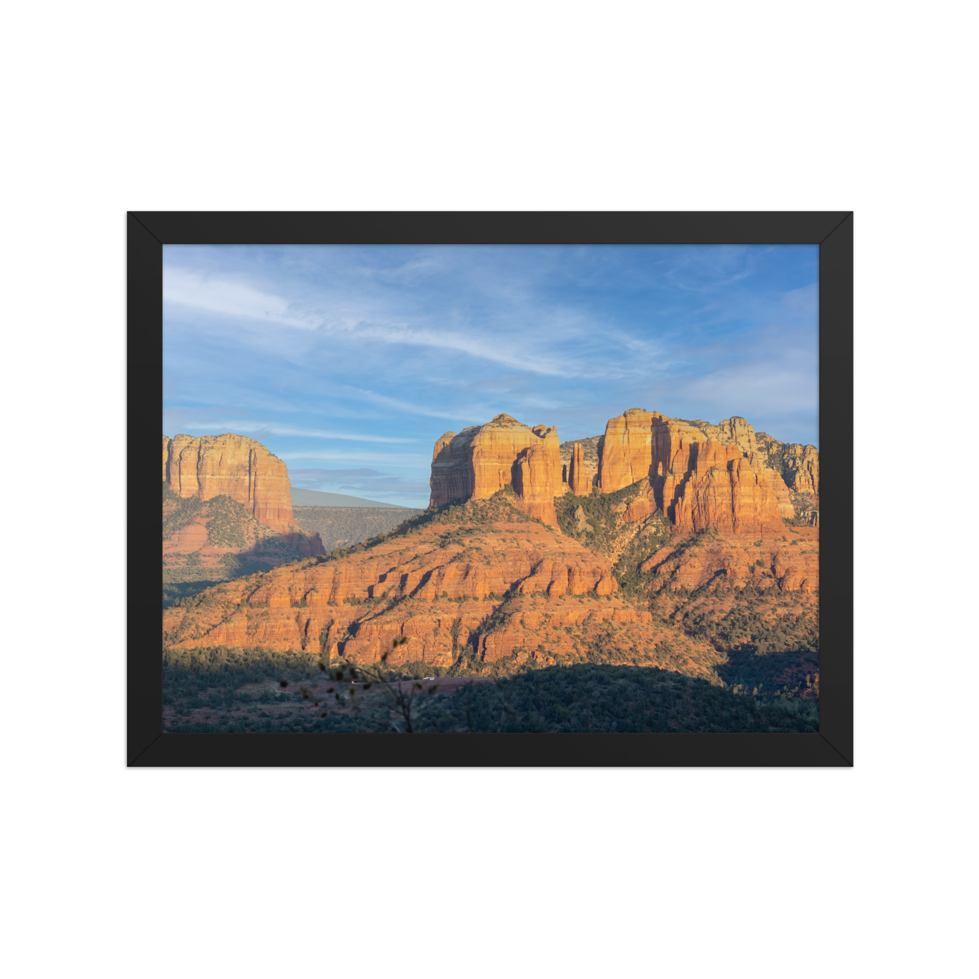 premium-luster-photo-paper-framed-poster-(in)-black-12x16-front-6a1db4ec91f65.png