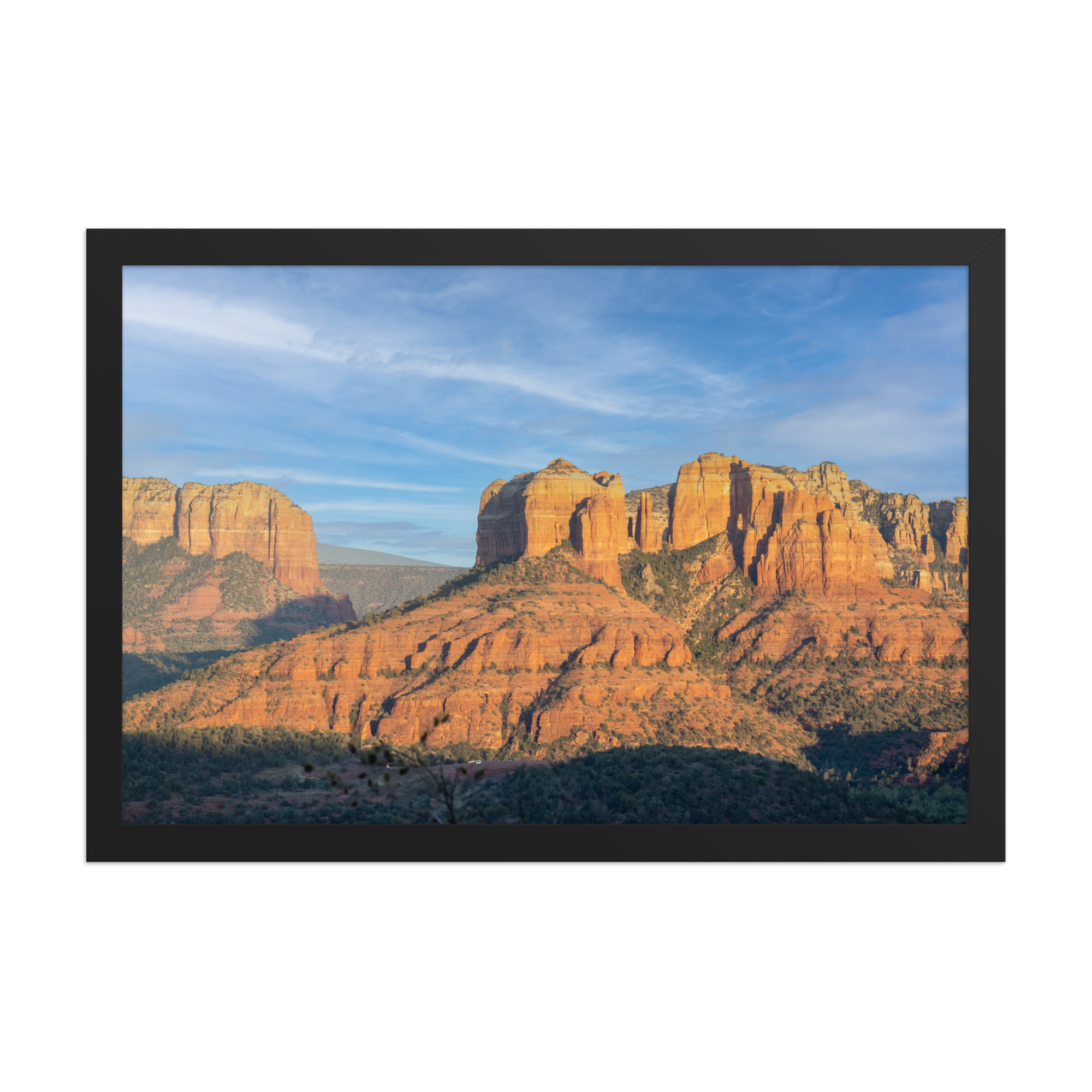 premium-luster-photo-paper-framed-poster-(in)-black-12x18-front-6a1db4ec91ff9.png
