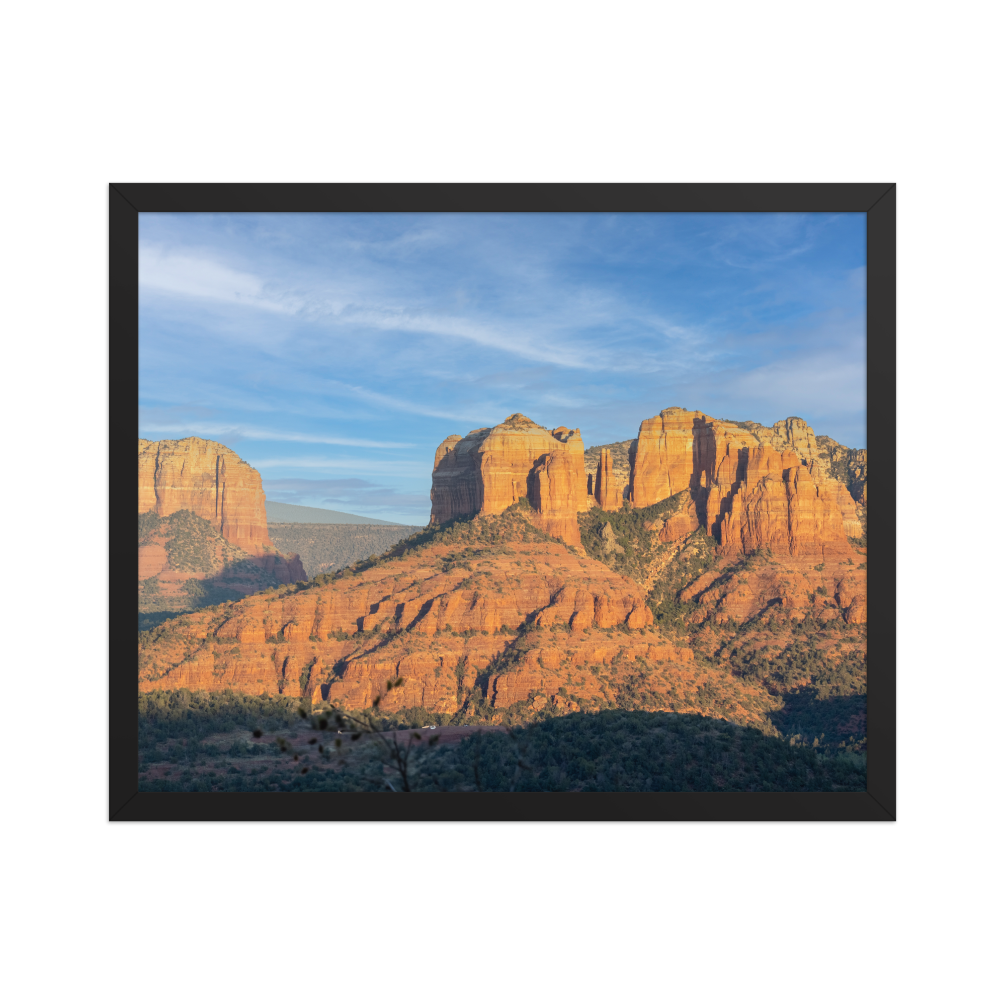 premium-luster-photo-paper-framed-poster-(in)-black-16x20-front-6a1db4ec92084.png