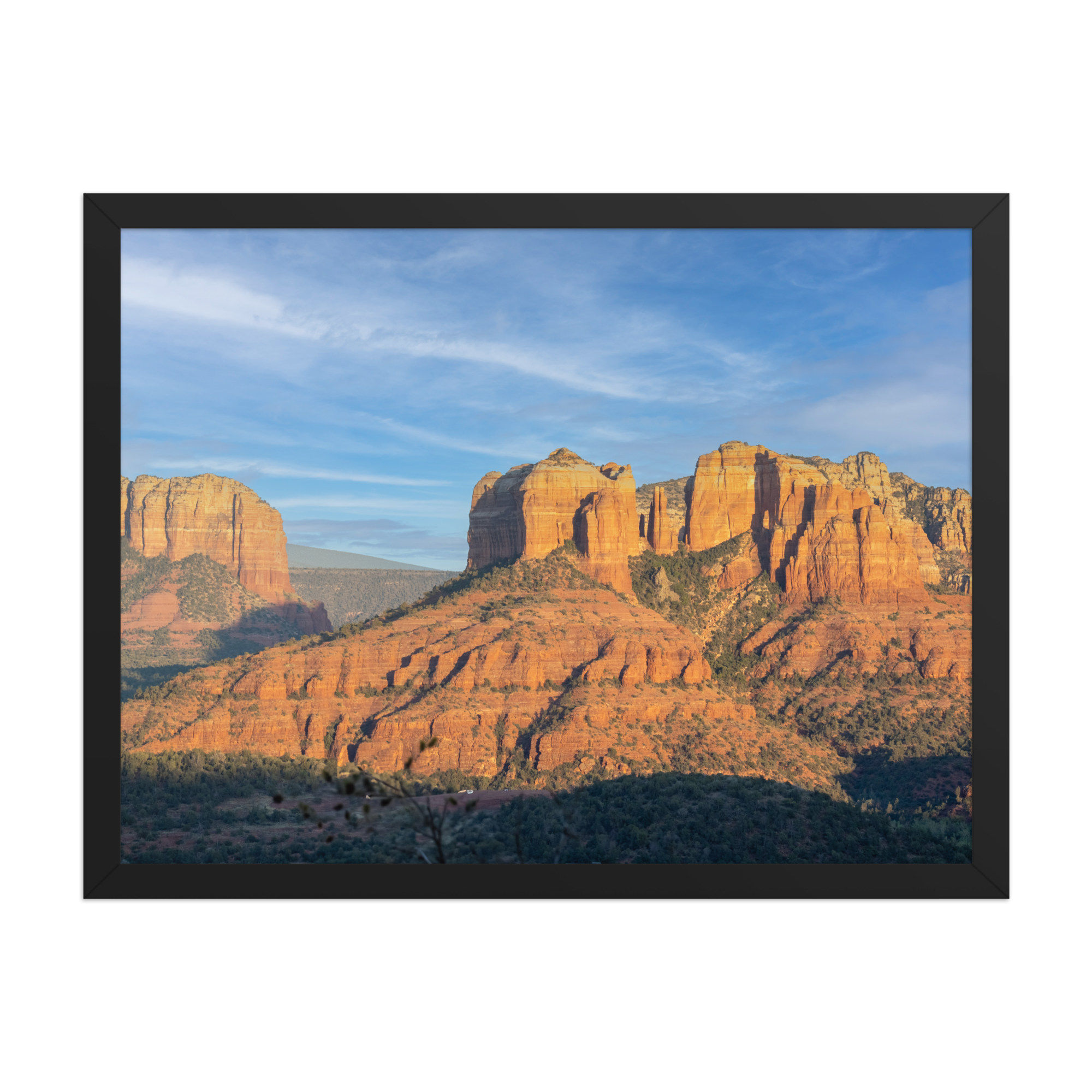 premium-luster-photo-paper-framed-poster-(in)-black-18x24-front-6a1db4ec9210e.png