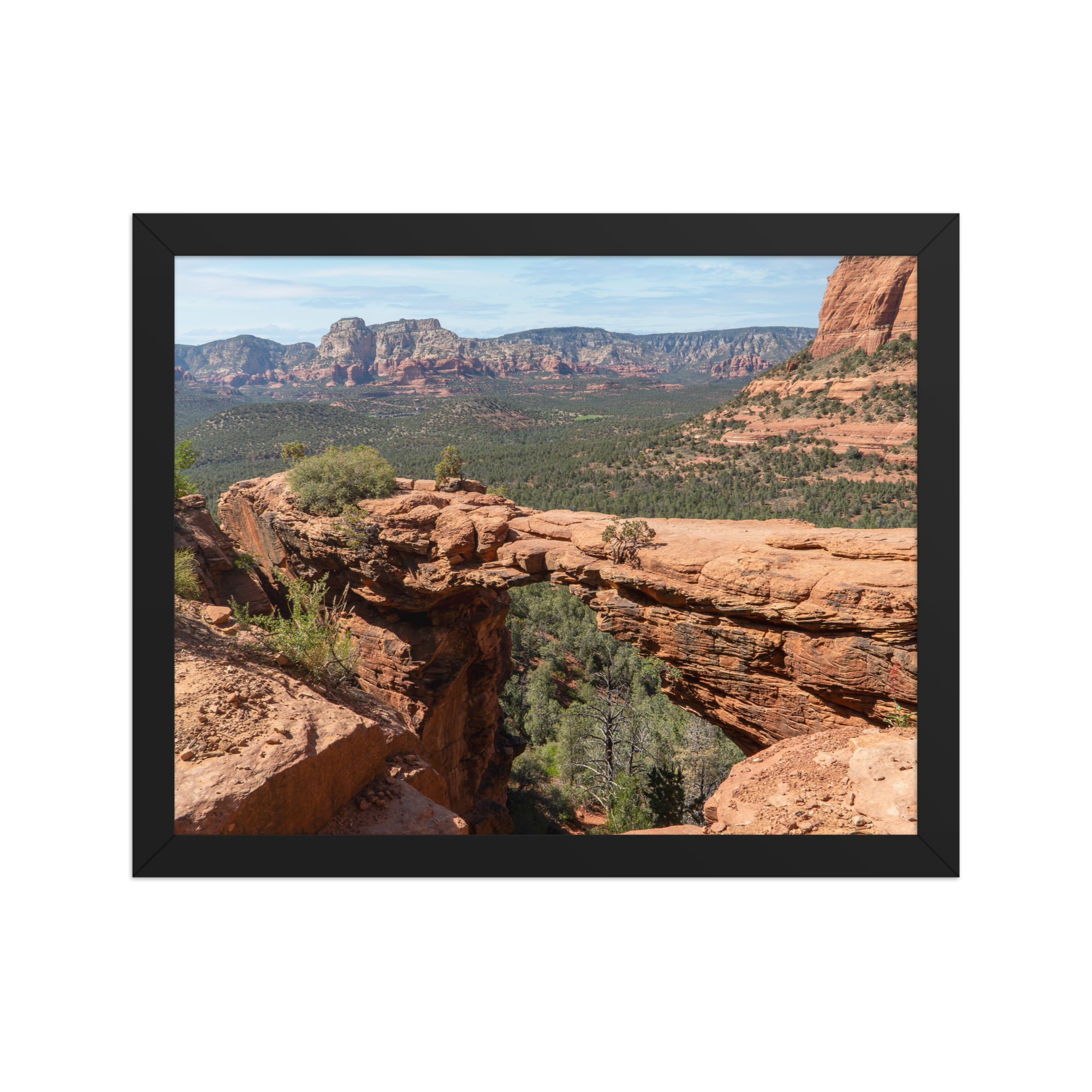 premium-luster-photo-paper-framed-poster-(in)-black-11x14-front-6a1db5027472d.png
