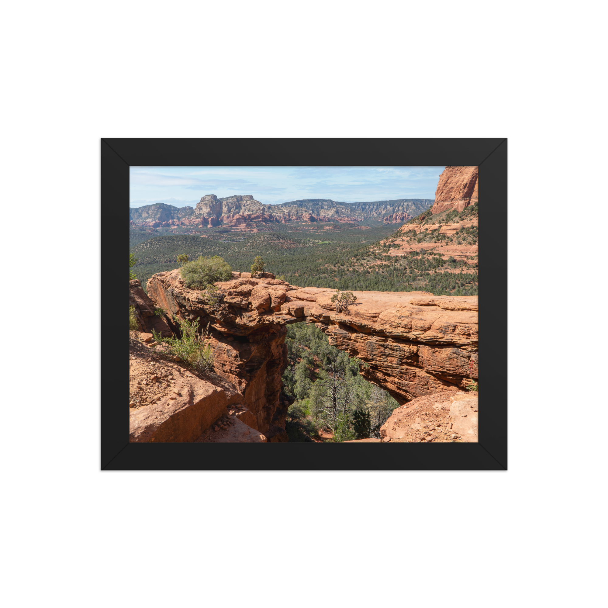 premium-luster-photo-paper-framed-poster-(in)-black-8x10-front-6a1db50275996.png