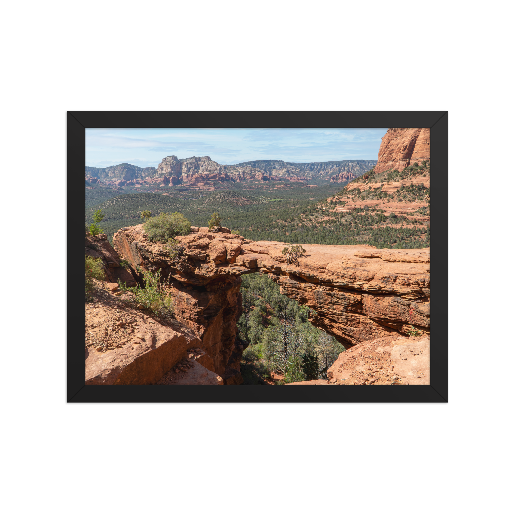 premium-luster-photo-paper-framed-poster-(in)-black-12x16-front-6a1db50275b5f.png
