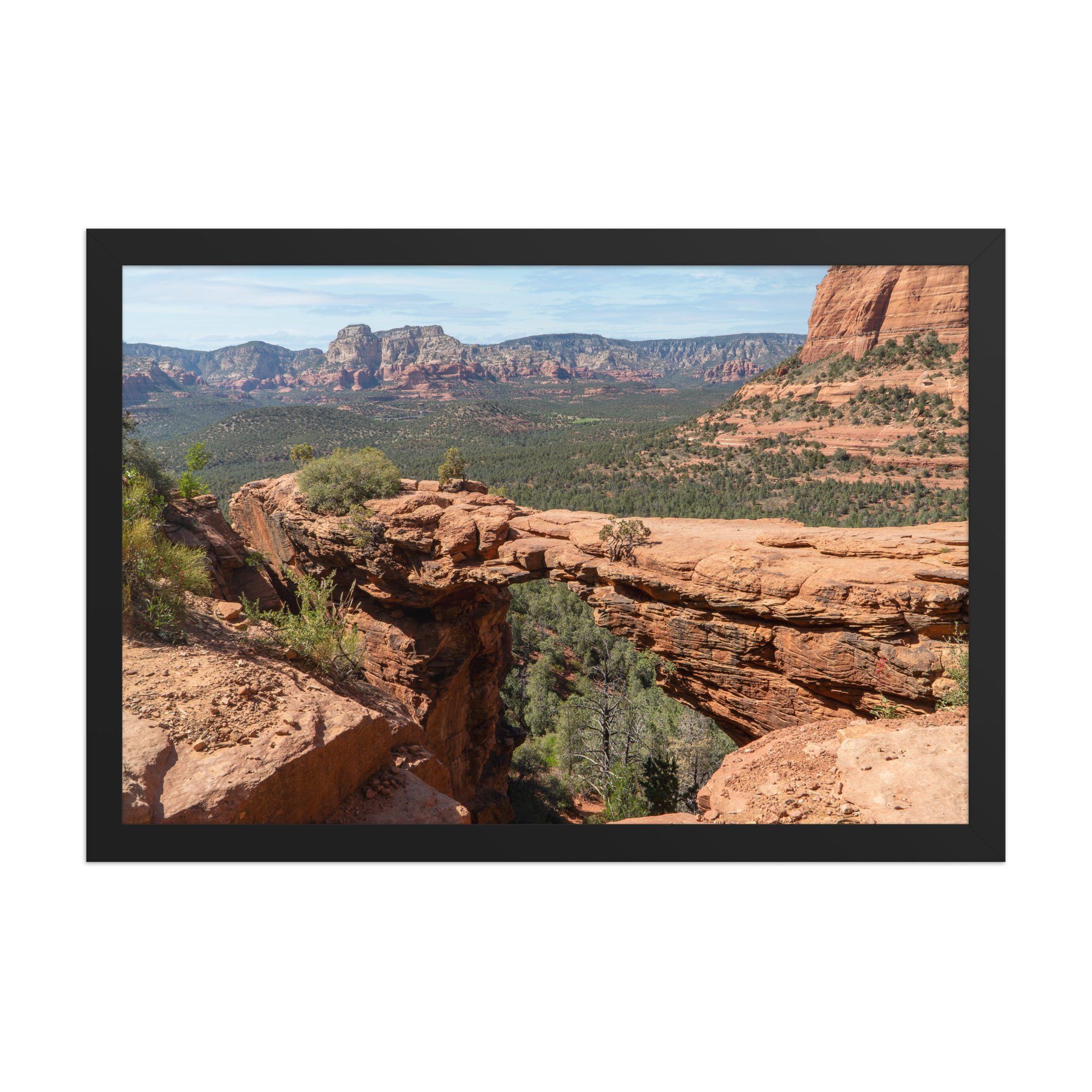 premium-luster-photo-paper-framed-poster-(in)-black-12x18-front-6a1db50275c7f.png