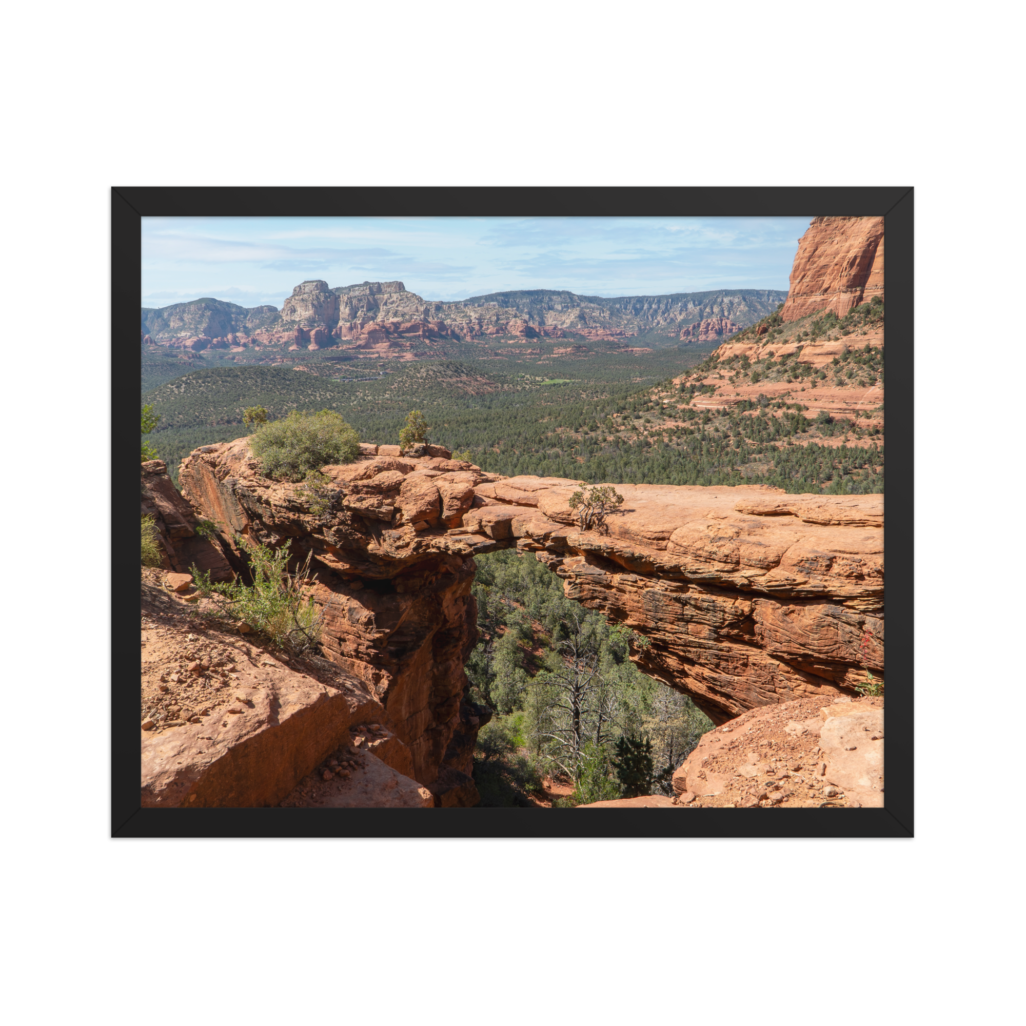 premium-luster-photo-paper-framed-poster-(in)-black-16x20-front-6a1db50275d99.png