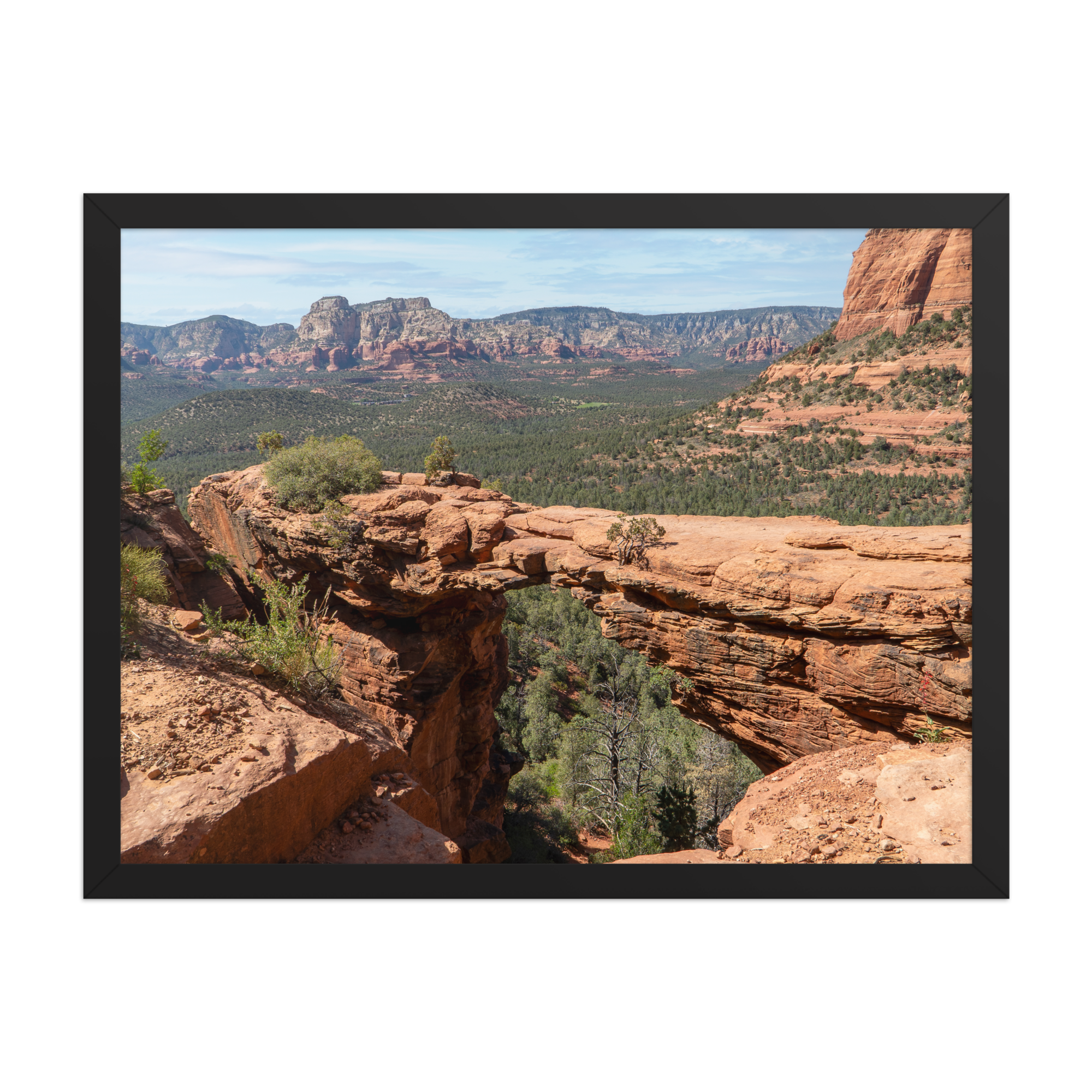premium-luster-photo-paper-framed-poster-(in)-black-18x24-front-6a1db50275ec8.png
