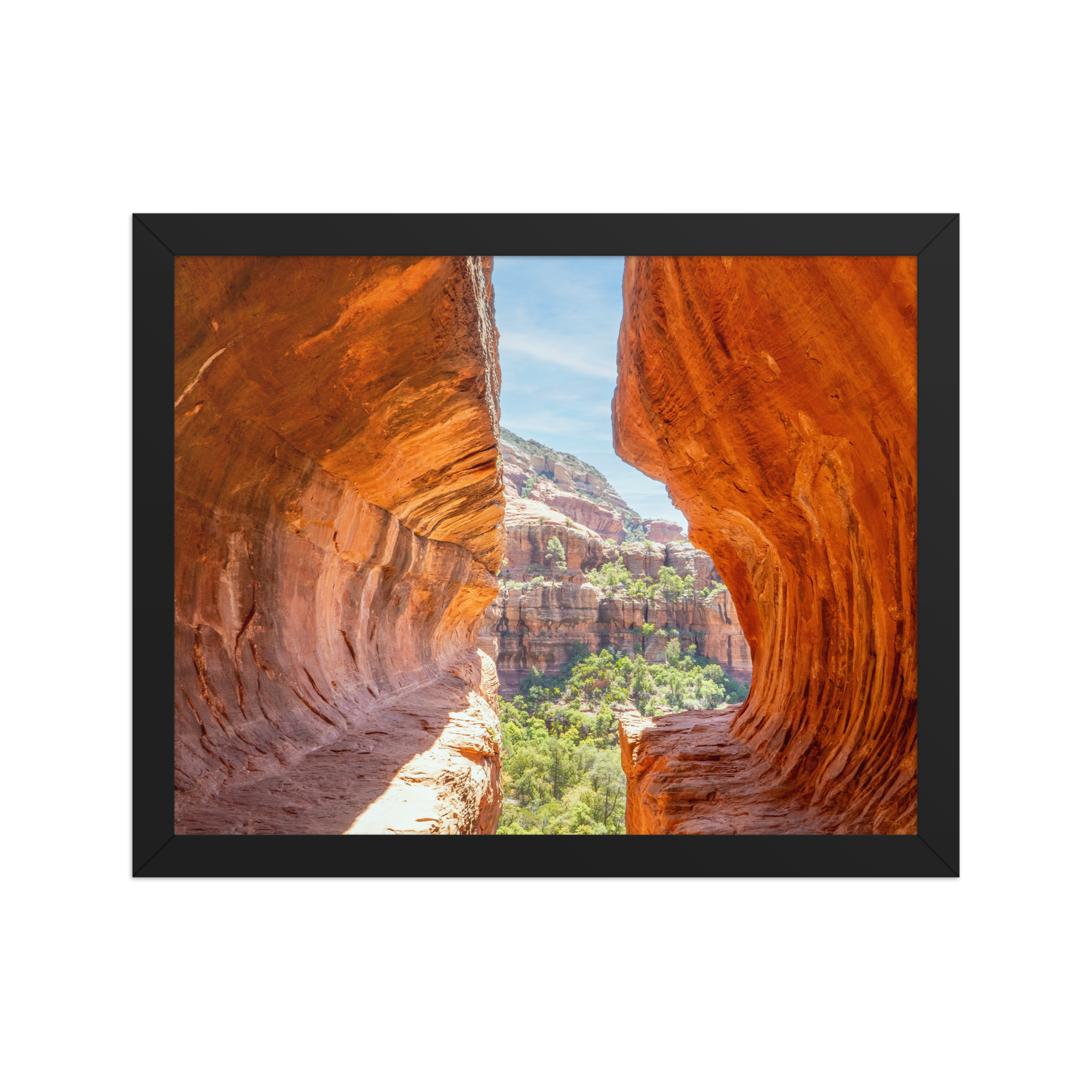 premium-luster-photo-paper-framed-poster-(in)-black-11x14-front-6a1db53e023ec.png
