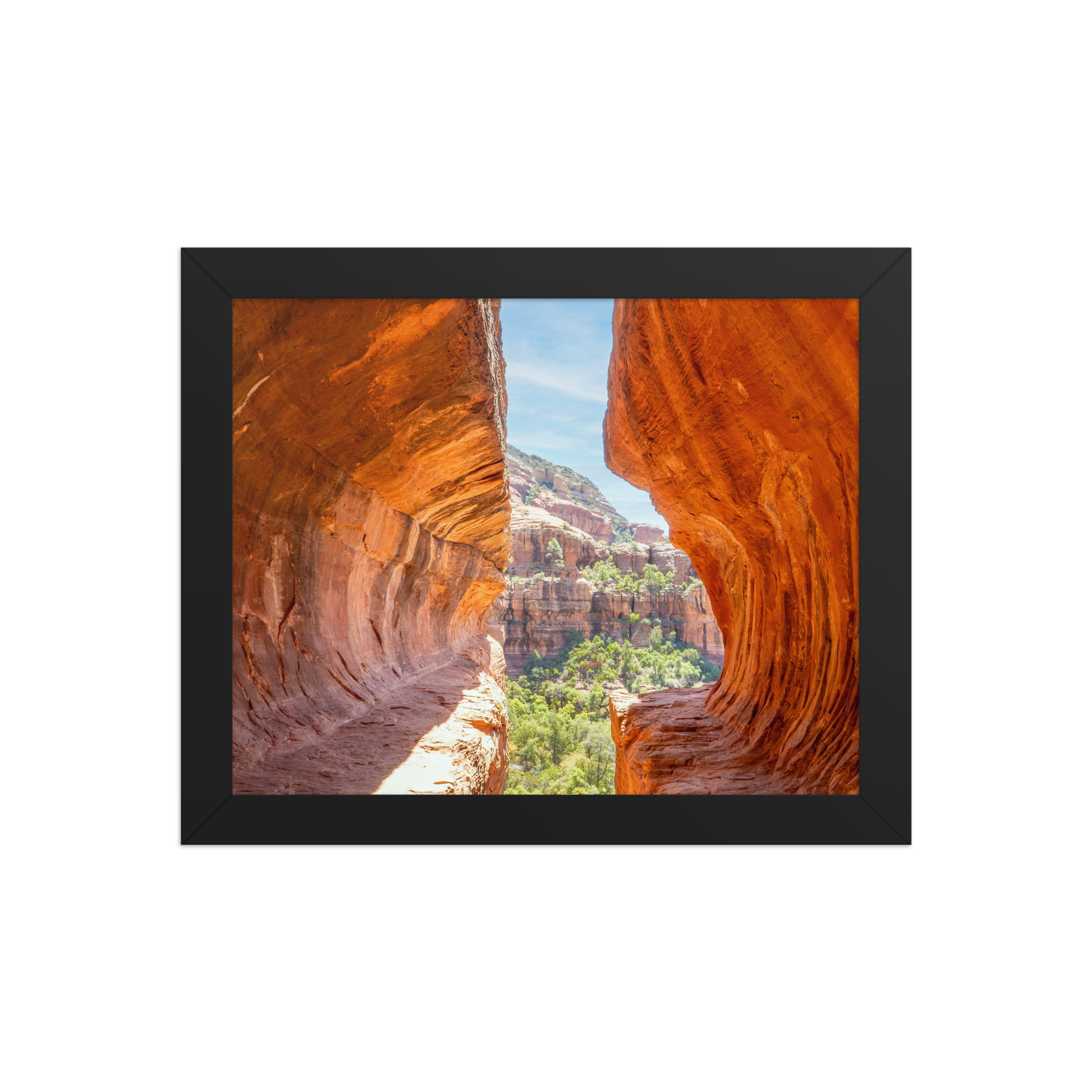 premium-luster-photo-paper-framed-poster-(in)-black-8x10-front-6a1db53e030e3.png