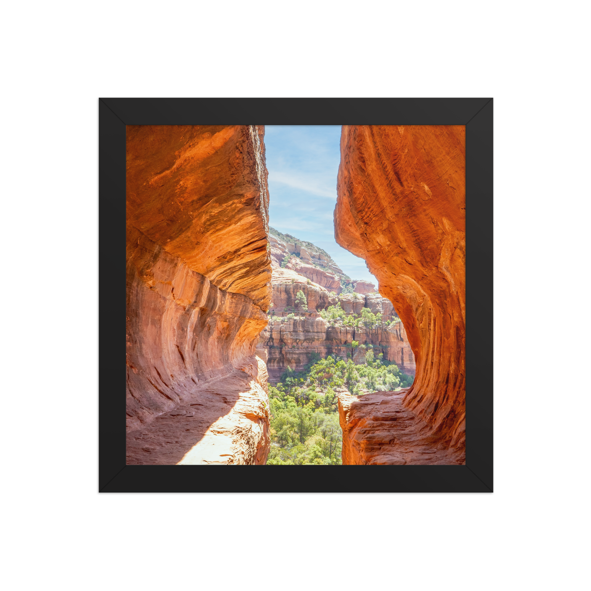 premium-luster-photo-paper-framed-poster-(in)-black-10x10-front-6a1db53e031f5.png