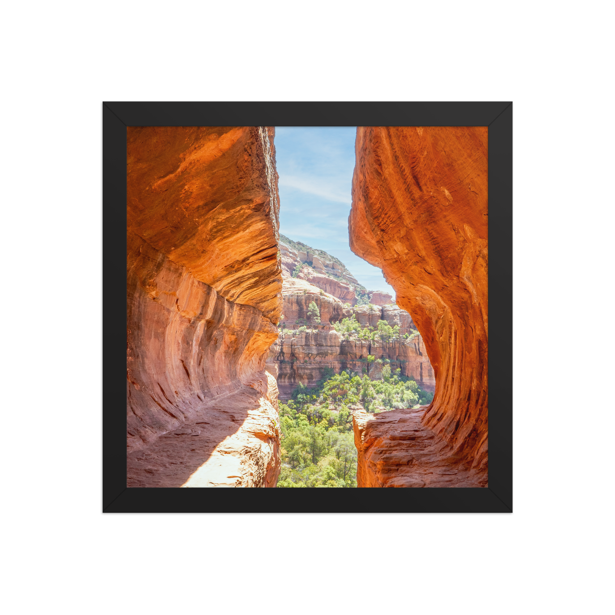 premium-luster-photo-paper-framed-poster-(in)-black-12x12-front-6a1db53e0335d.png