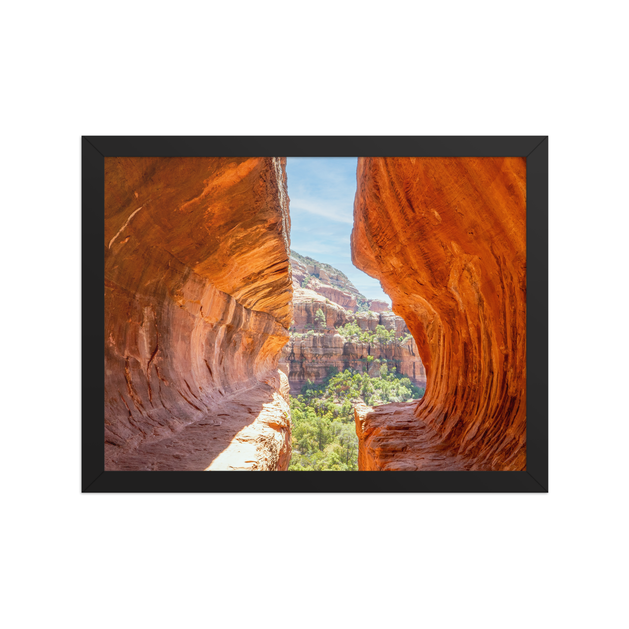 premium-luster-photo-paper-framed-poster-(in)-black-12x16-front-6a1db53e03450.png