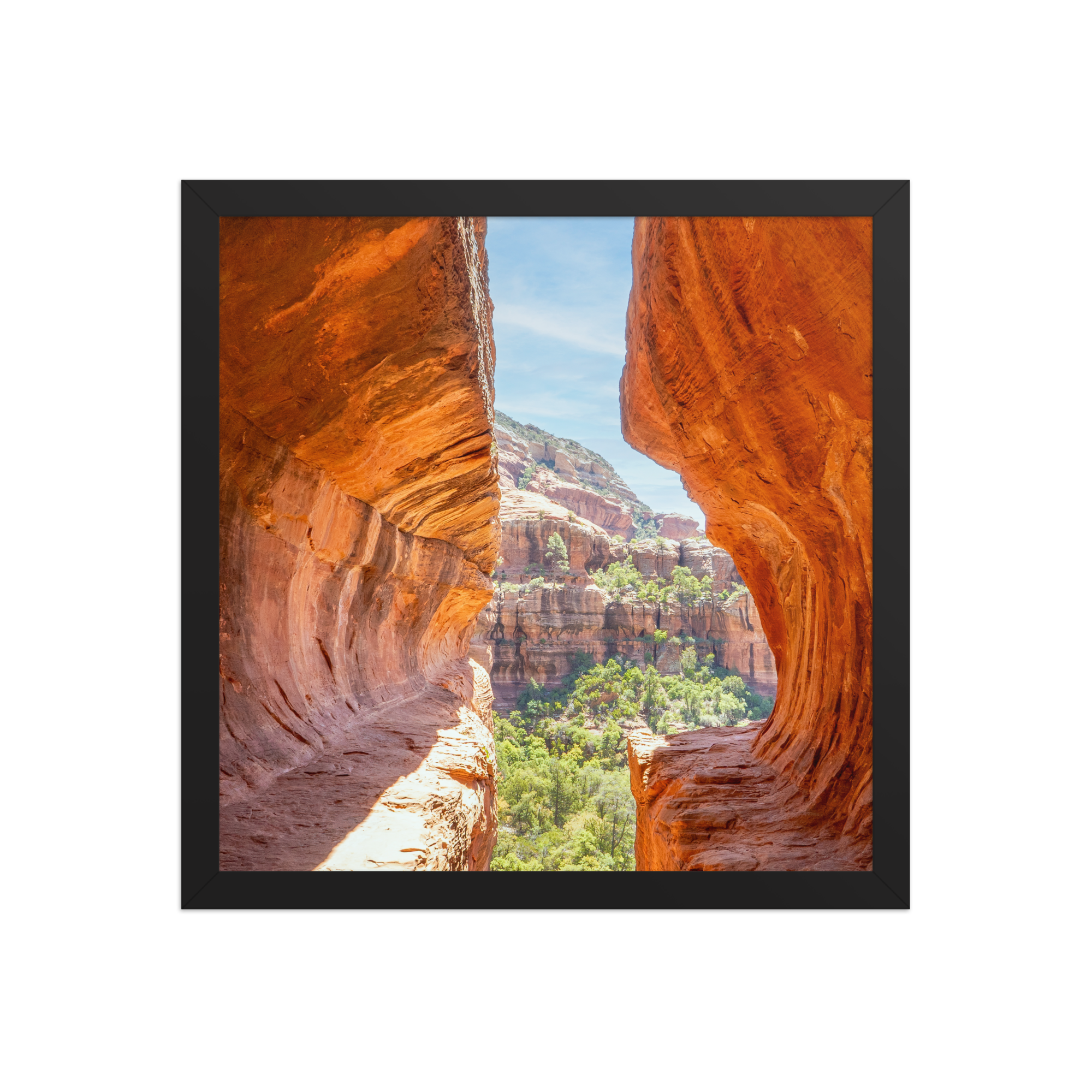 premium-luster-photo-paper-framed-poster-(in)-black-14x14-front-6a1db53e0364c.png