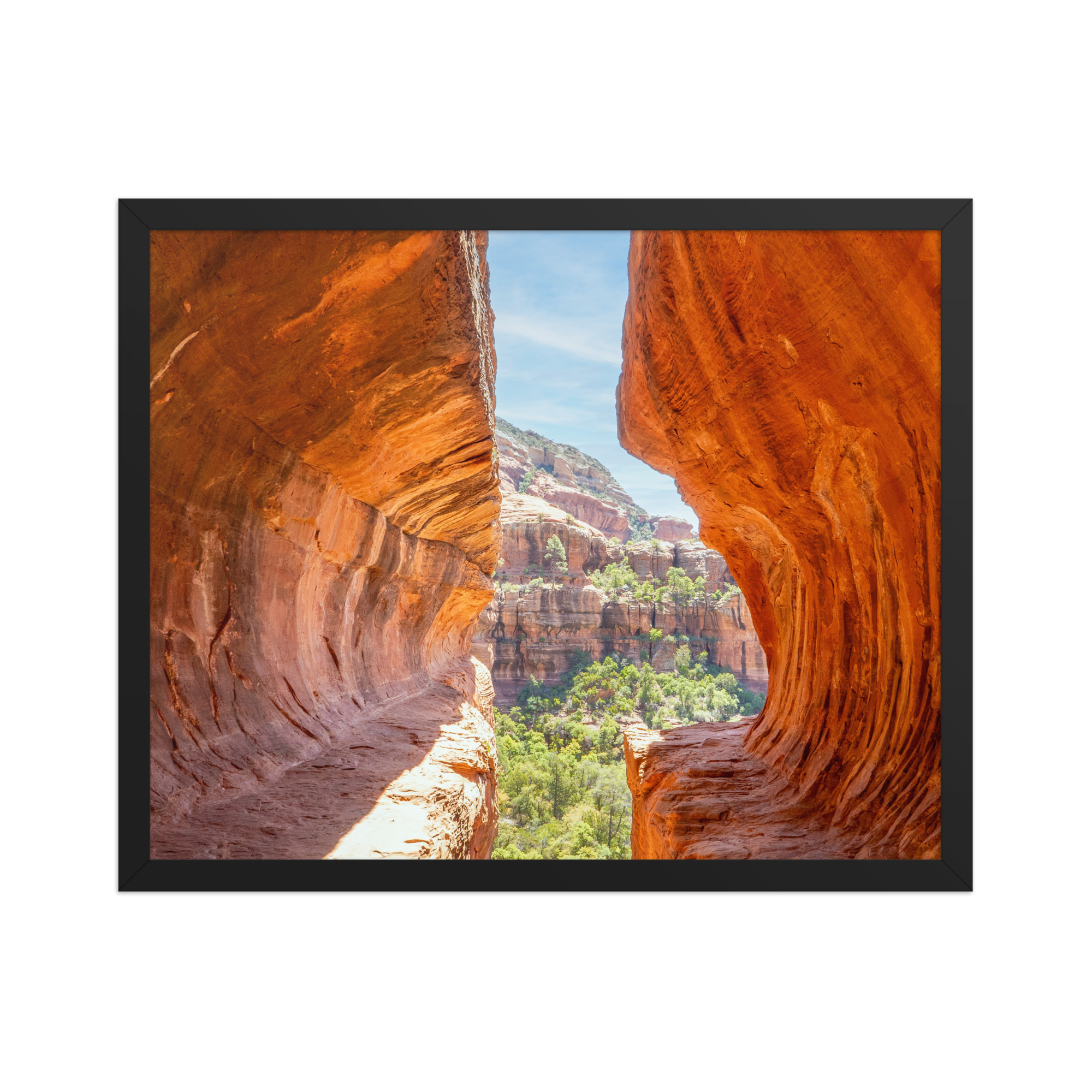 premium-luster-photo-paper-framed-poster-(in)-black-16x20-front-6a1db53e03837.png