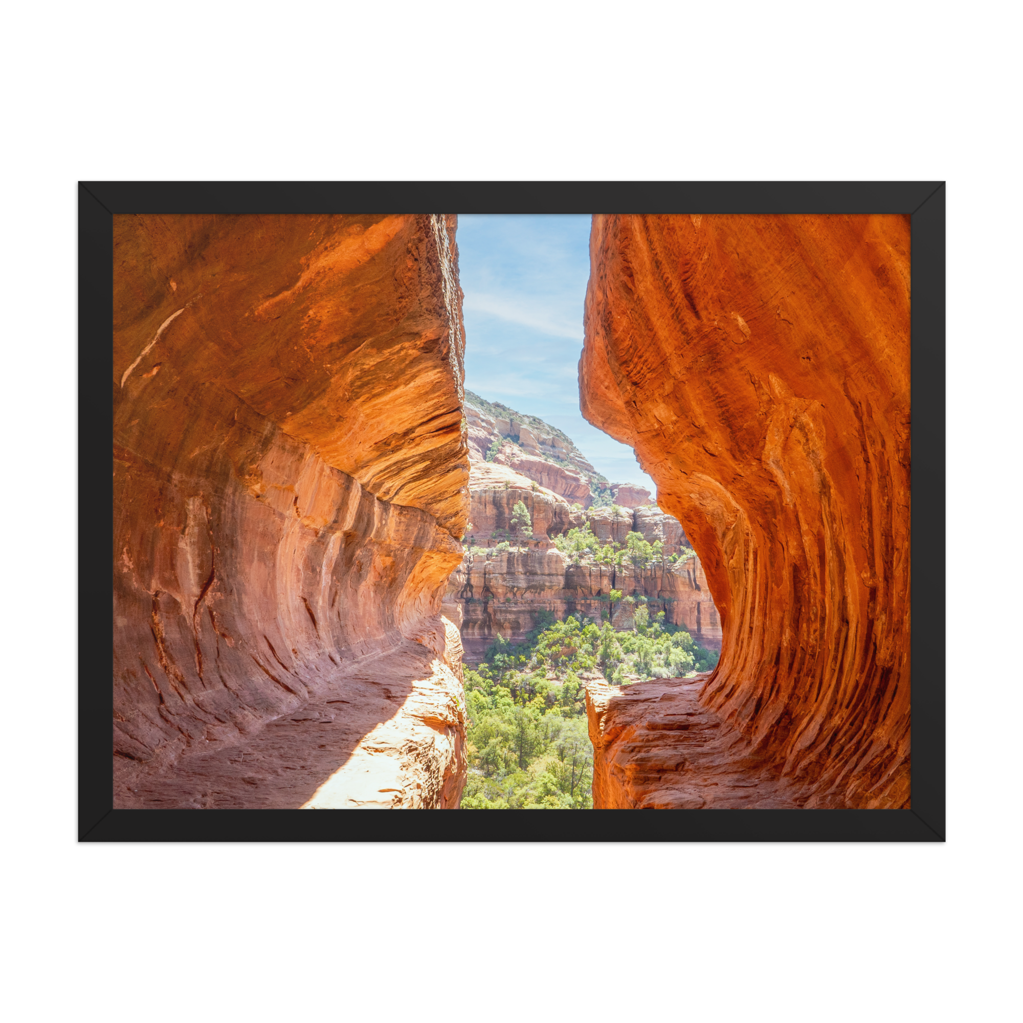 premium-luster-photo-paper-framed-poster-(in)-black-18x24-front-6a1db53e03a0e.png