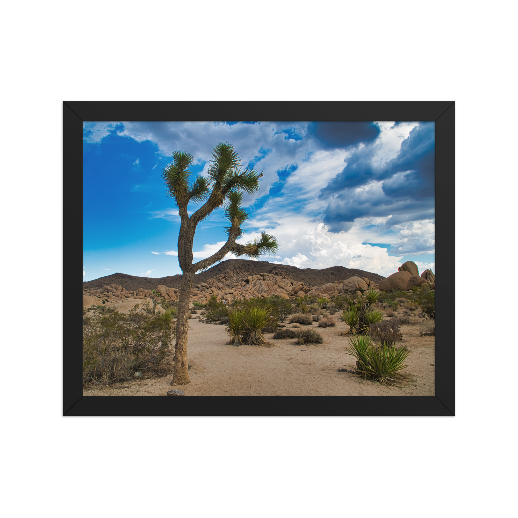 premium-luster-photo-paper-framed-poster-(in)-black-11x14-front-6a1db61762368.png