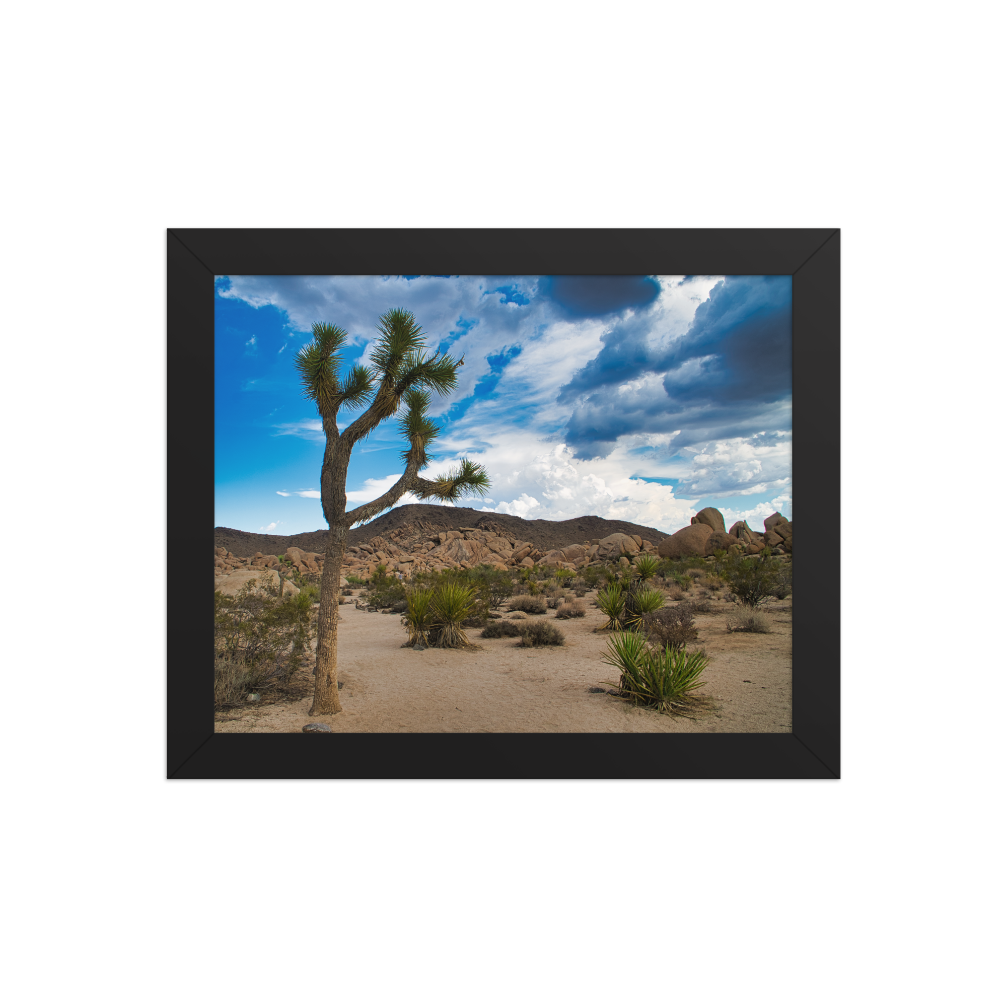 premium-luster-photo-paper-framed-poster-(in)-black-8x10-front-6a1db61763809.png