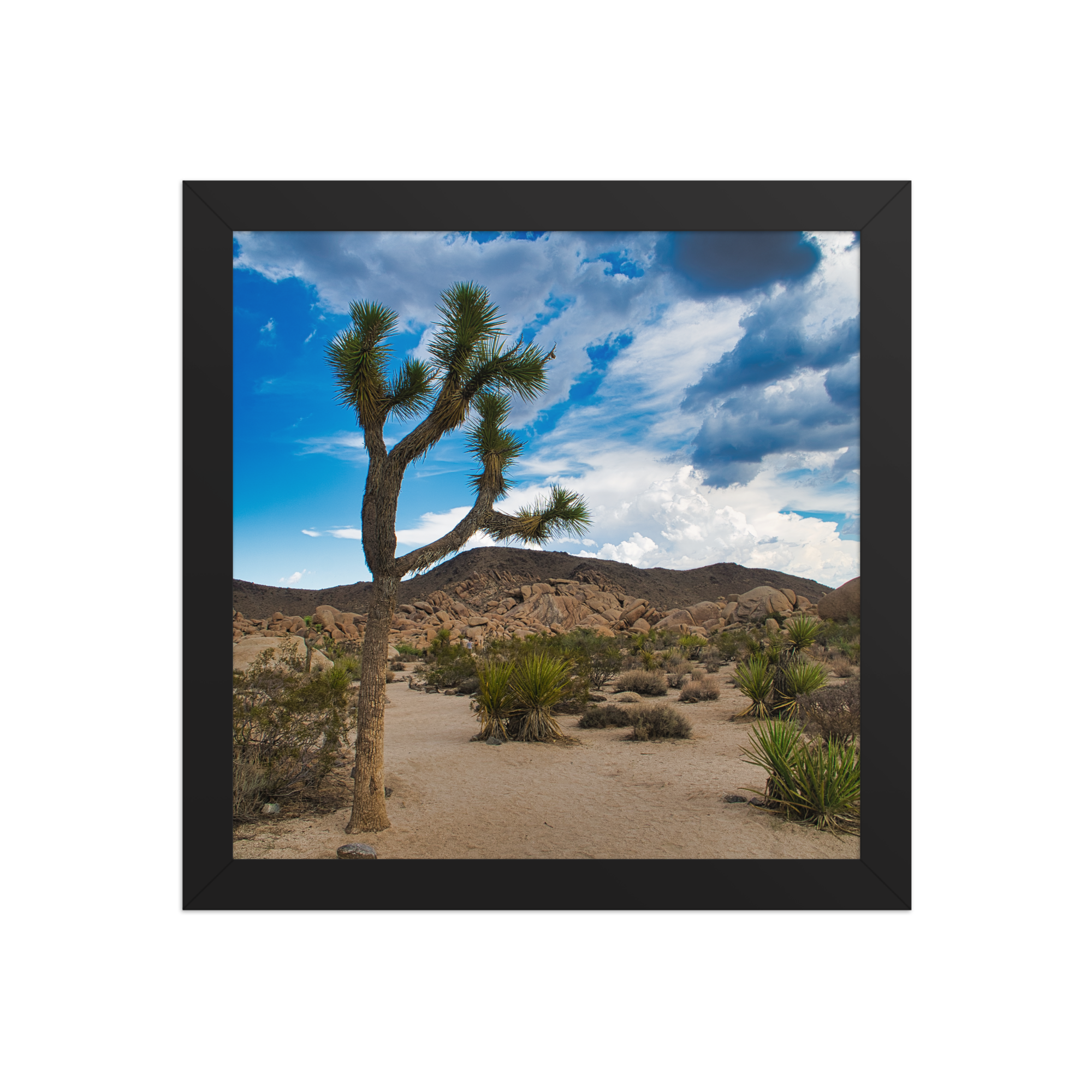 premium-luster-photo-paper-framed-poster-(in)-black-10x10-front-6a1db61763937.png