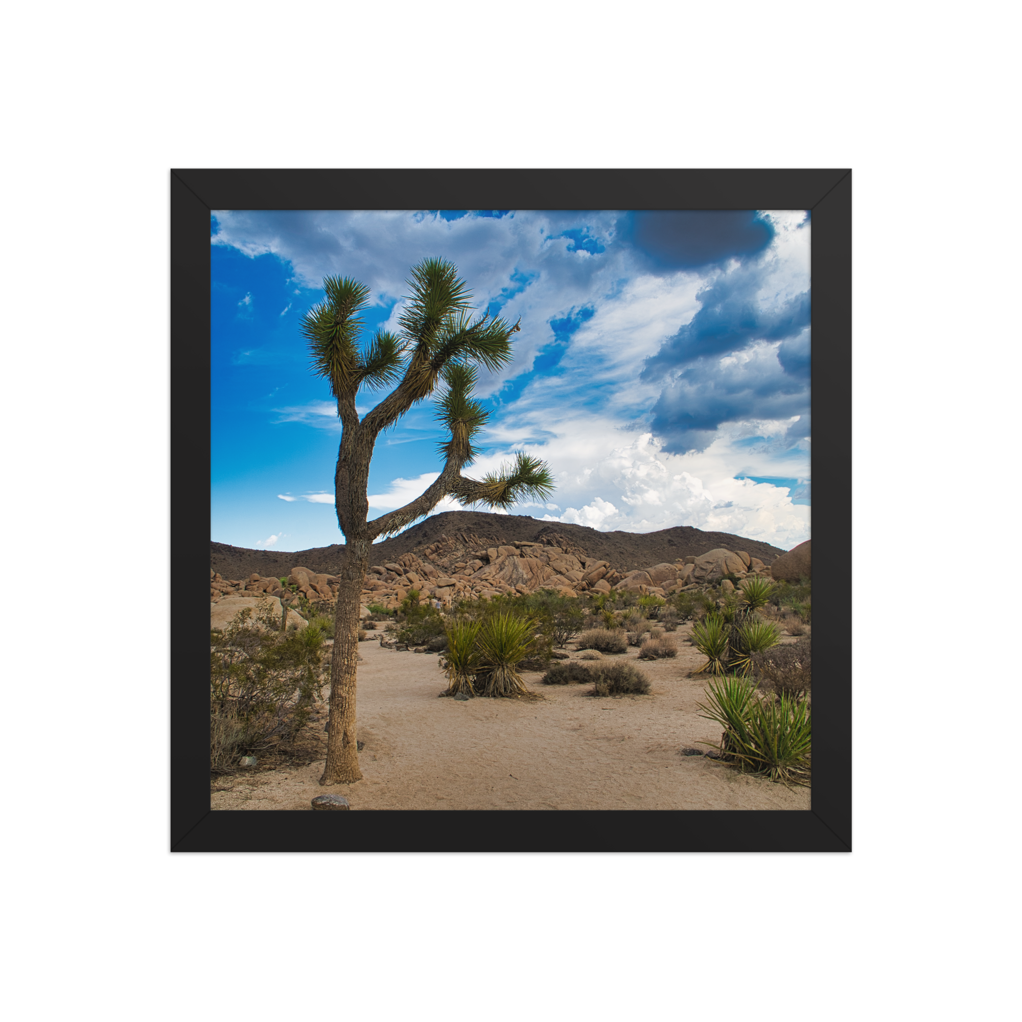 premium-luster-photo-paper-framed-poster-(in)-black-12x12-front-6a1db61763a9a.png