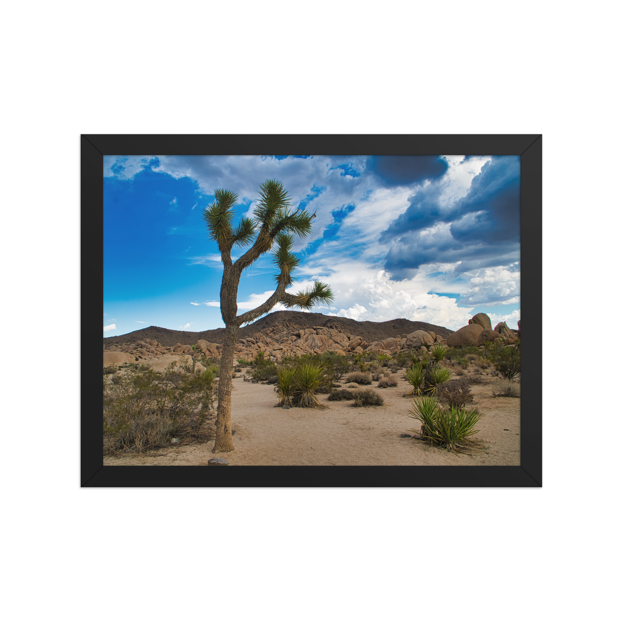 premium-luster-photo-paper-framed-poster-(in)-black-12x16-front-6a1db61763b86.png
