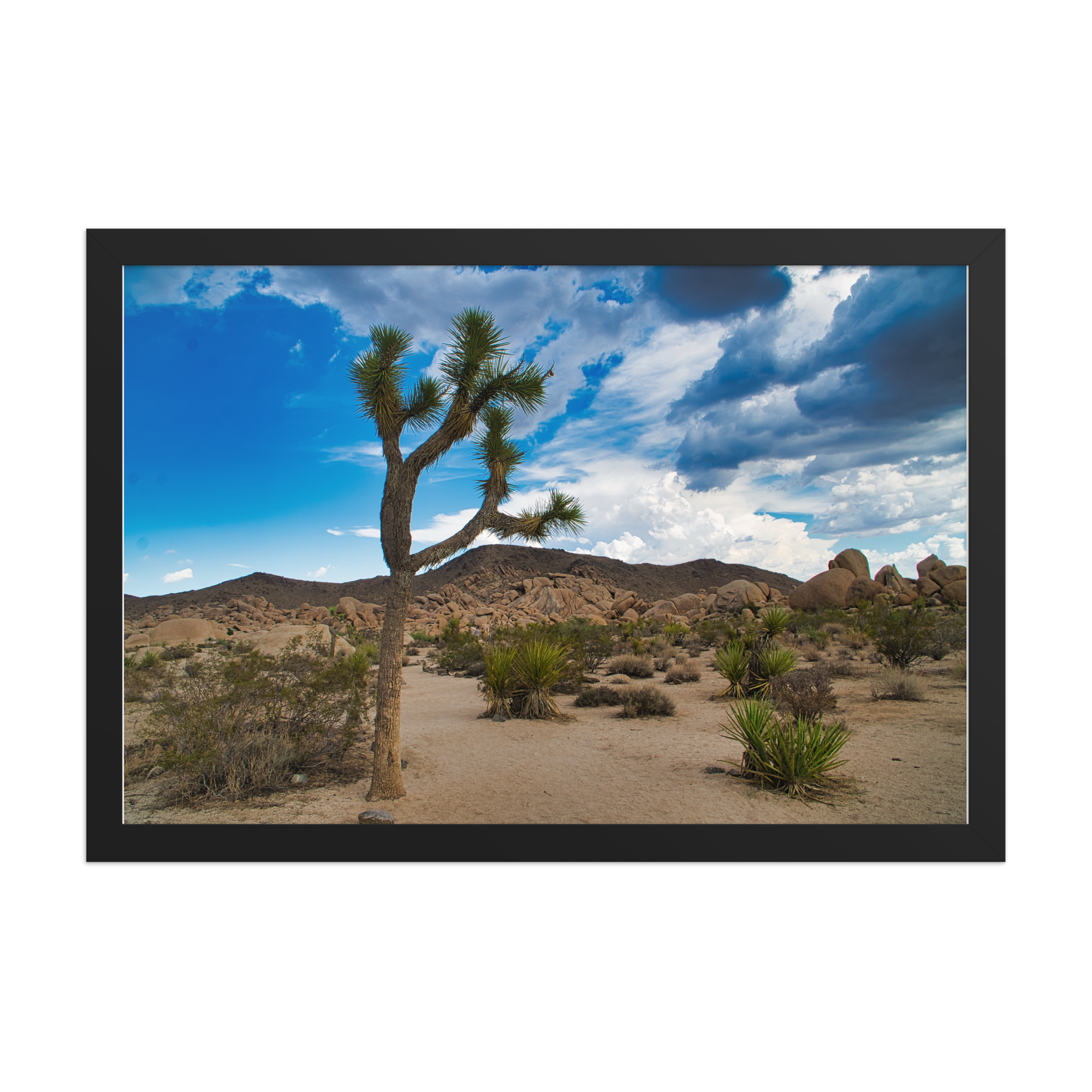 premium-luster-photo-paper-framed-poster-(in)-black-12x18-front-6a1db61763c8a.png