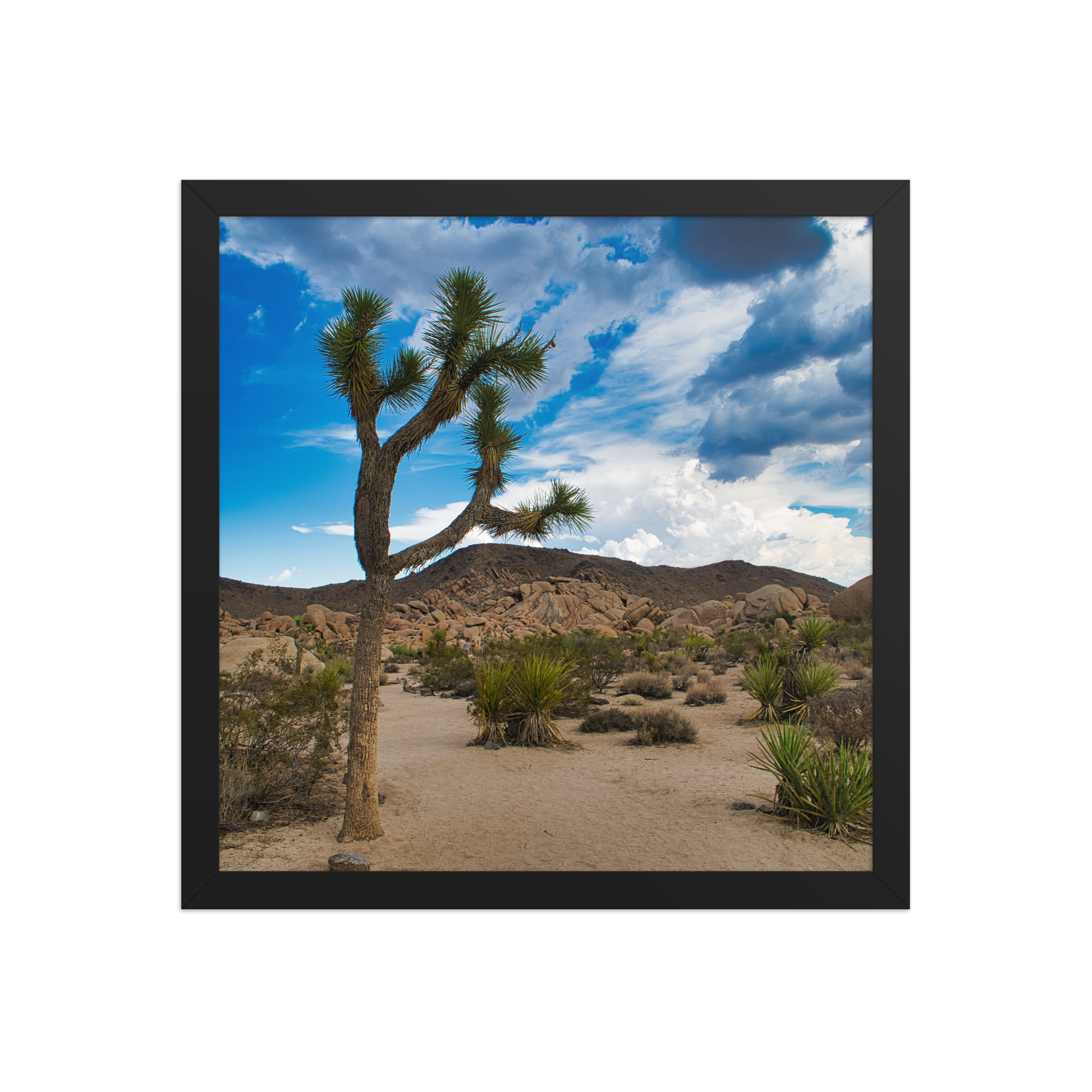 premium-luster-photo-paper-framed-poster-(in)-black-14x14-front-6a1db61763d75.png