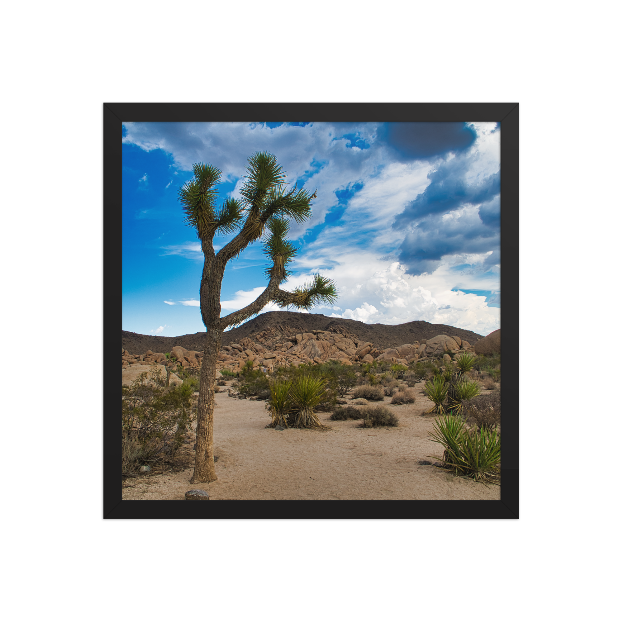 premium-luster-photo-paper-framed-poster-(in)-black-16x16-front-6a1db61763e5e.png
