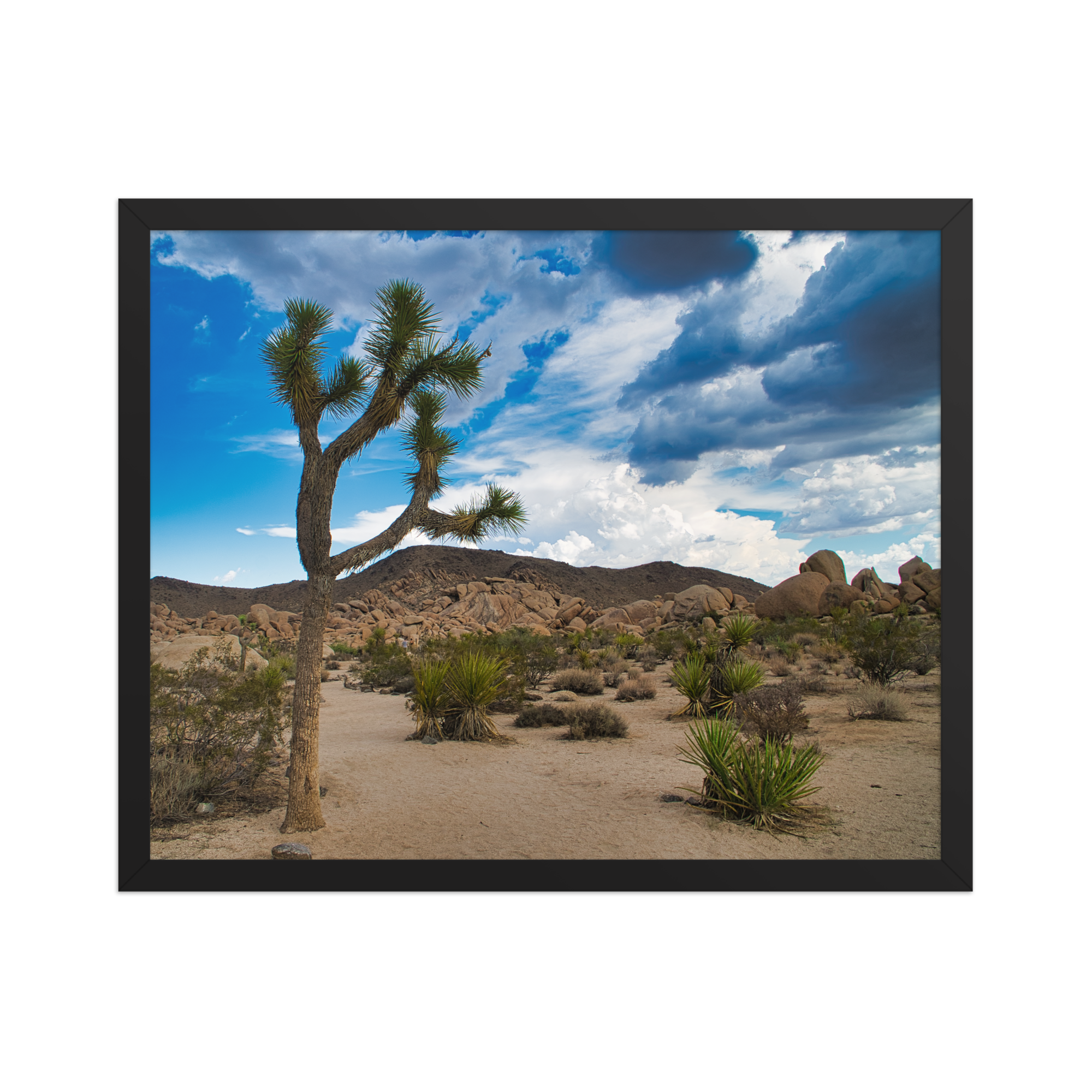 premium-luster-photo-paper-framed-poster-(in)-black-16x20-front-6a1db61763f46.png