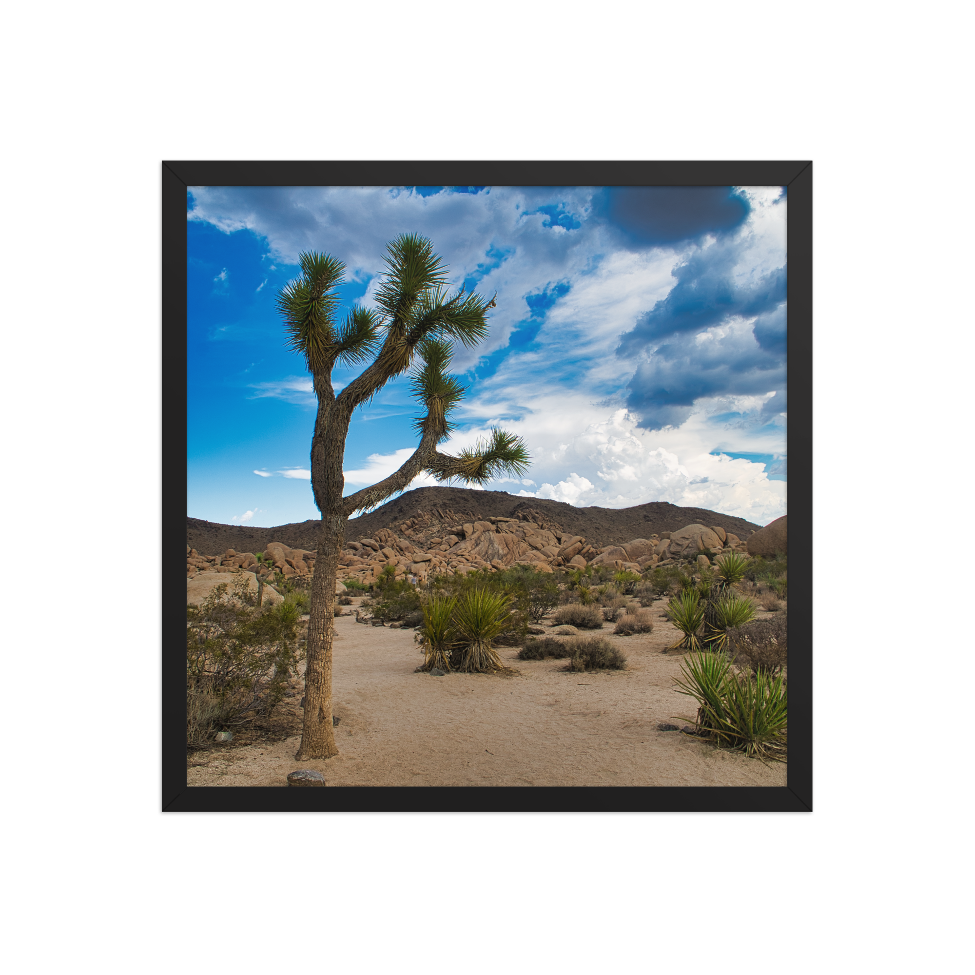 premium-luster-photo-paper-framed-poster-(in)-black-18x18-front-6a1db61764031.png