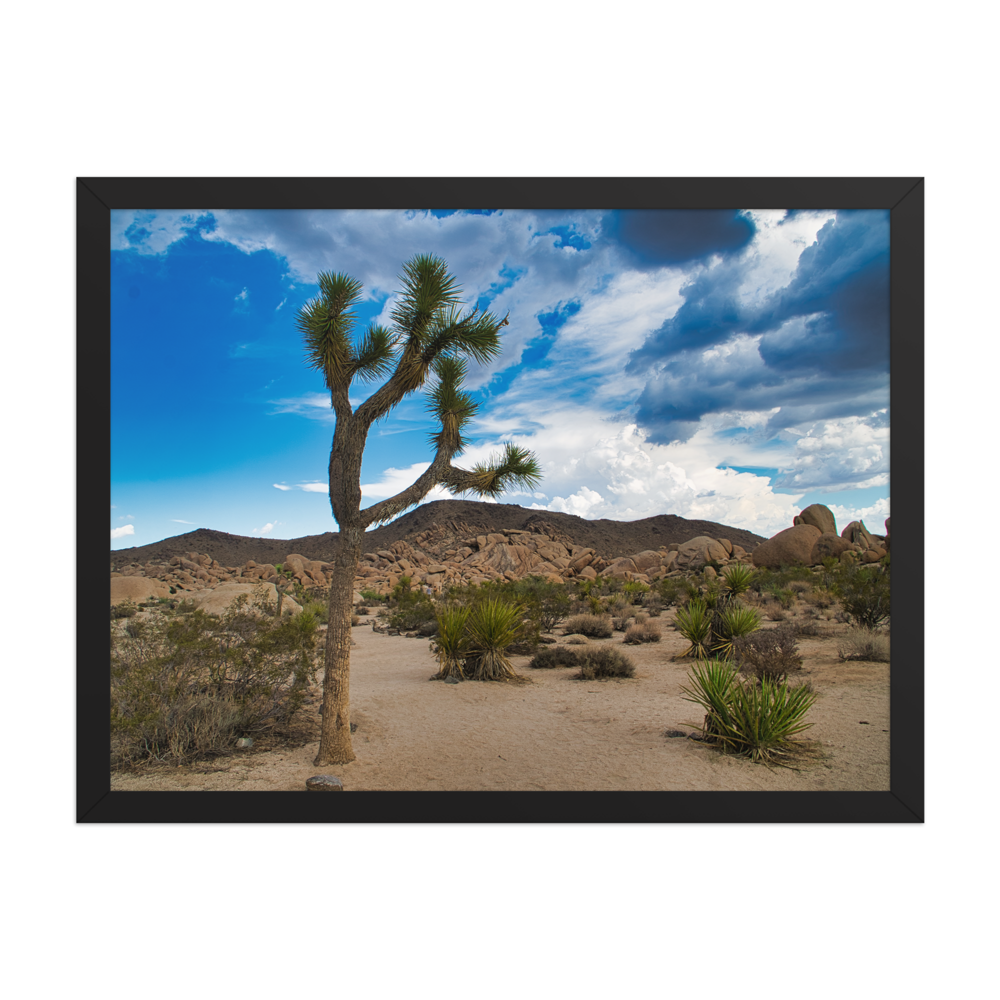 premium-luster-photo-paper-framed-poster-(in)-black-18x24-front-6a1db61764113.png