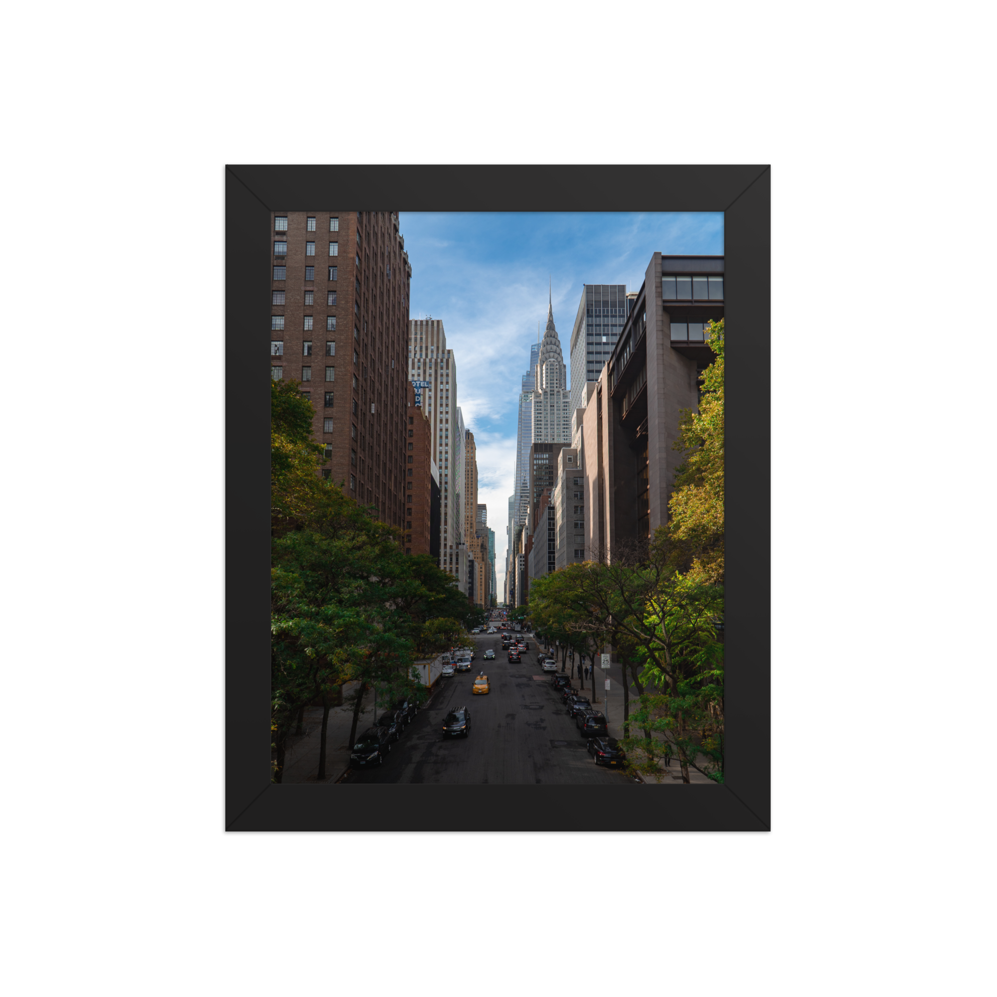 premium-luster-photo-paper-framed-poster-(in)-black-8x10-front-6a1db674df0ac.png