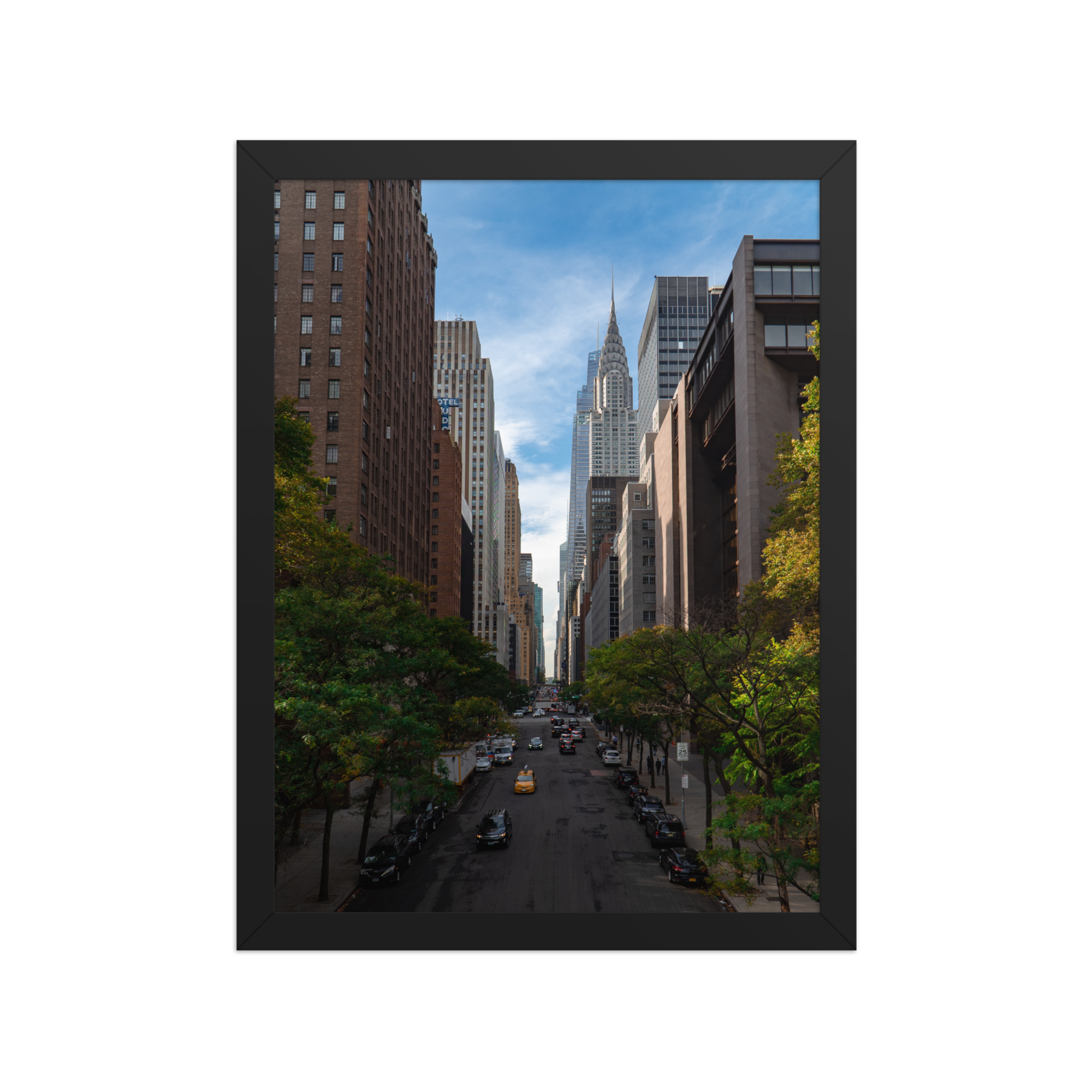 premium-luster-photo-paper-framed-poster-(in)-black-12x16-front-6a1db674df1ac.png