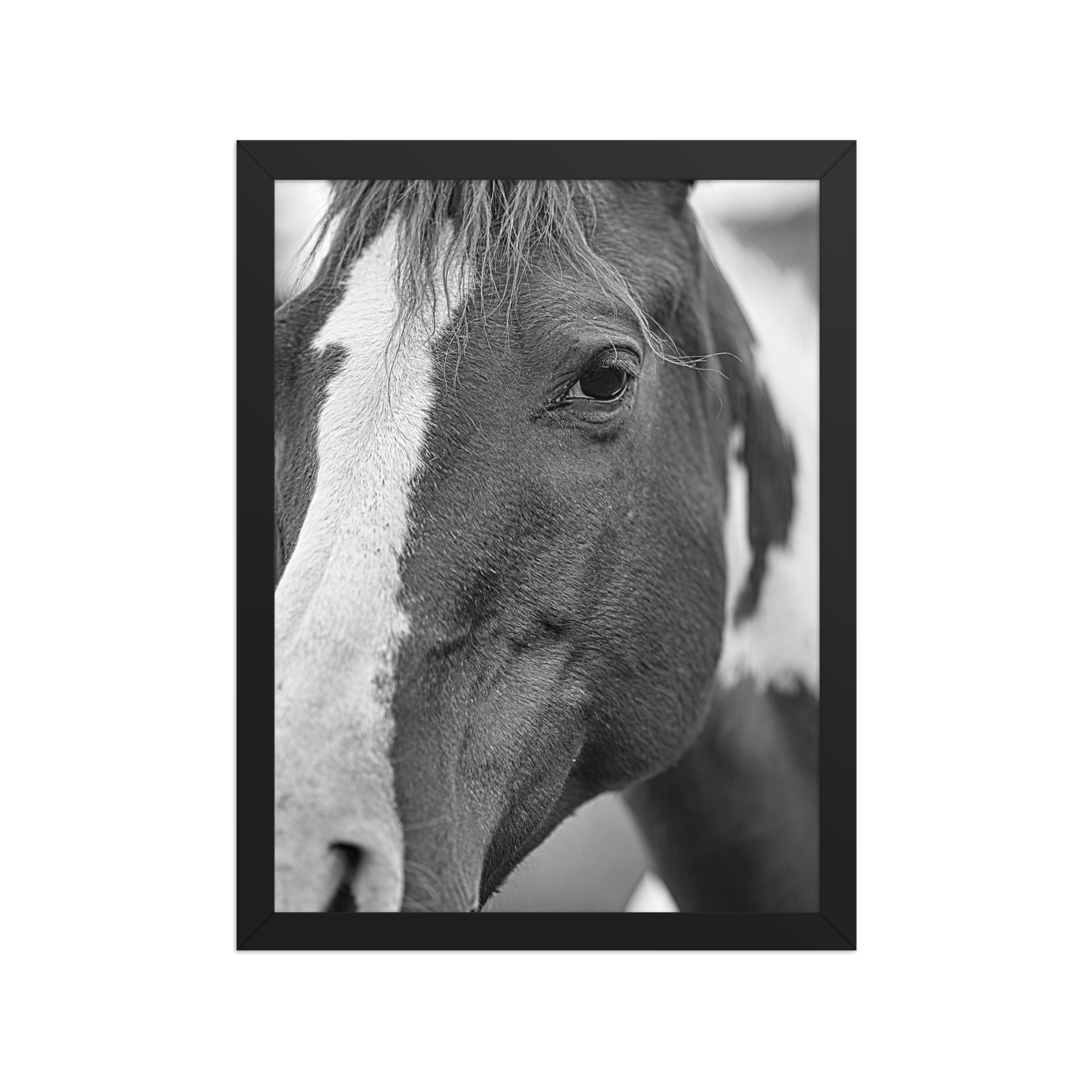 premium-luster-photo-paper-framed-poster-(in)-black-12x16-front-6a1db6b25e112.png