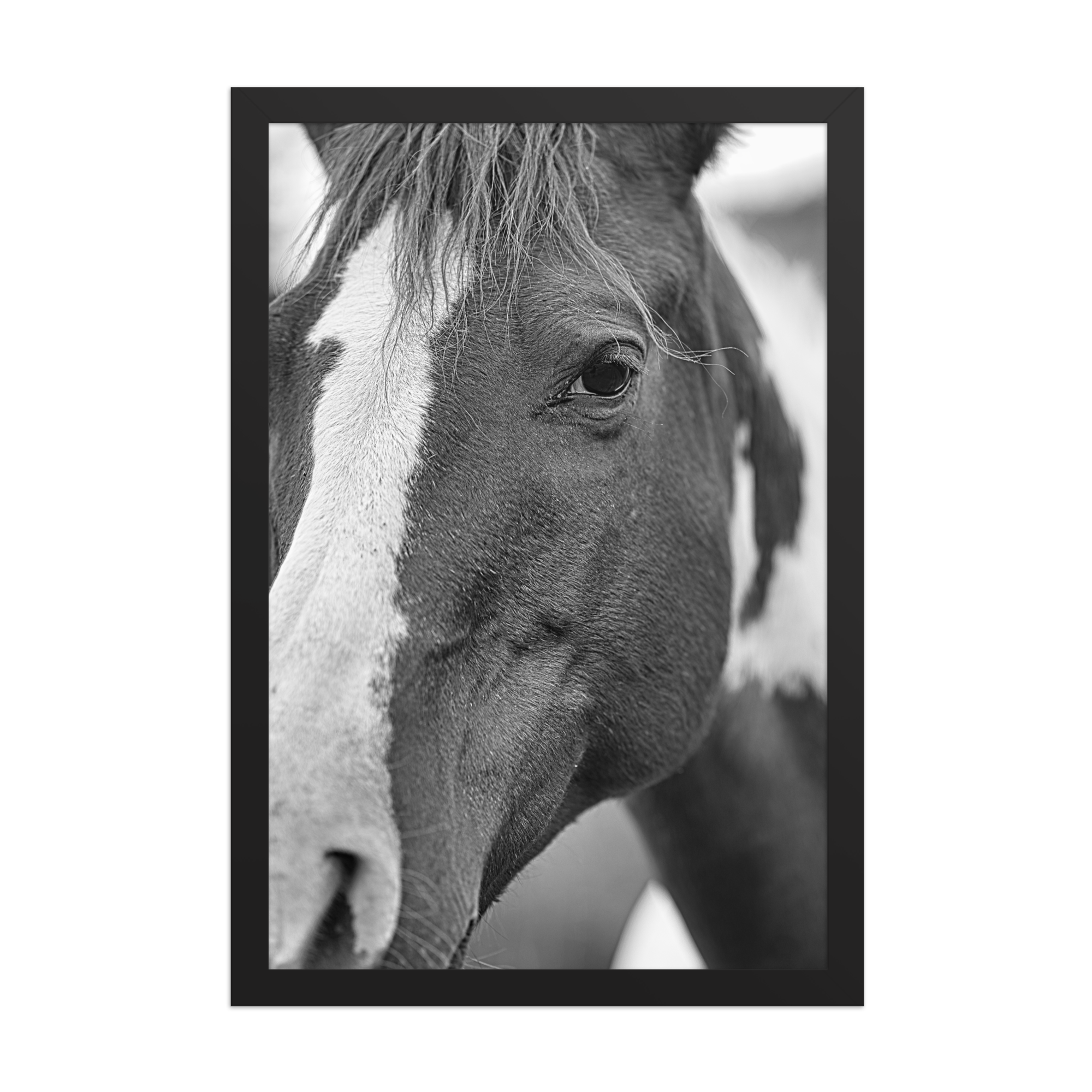 premium-luster-photo-paper-framed-poster-(in)-black-12x18-front-6a1db6b25e25b.png