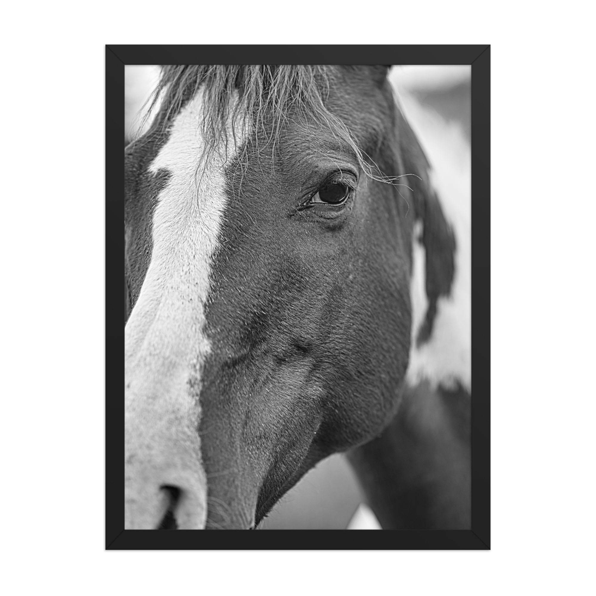 premium-luster-photo-paper-framed-poster-(in)-black-18x24-front-6a1db6b25e373.png