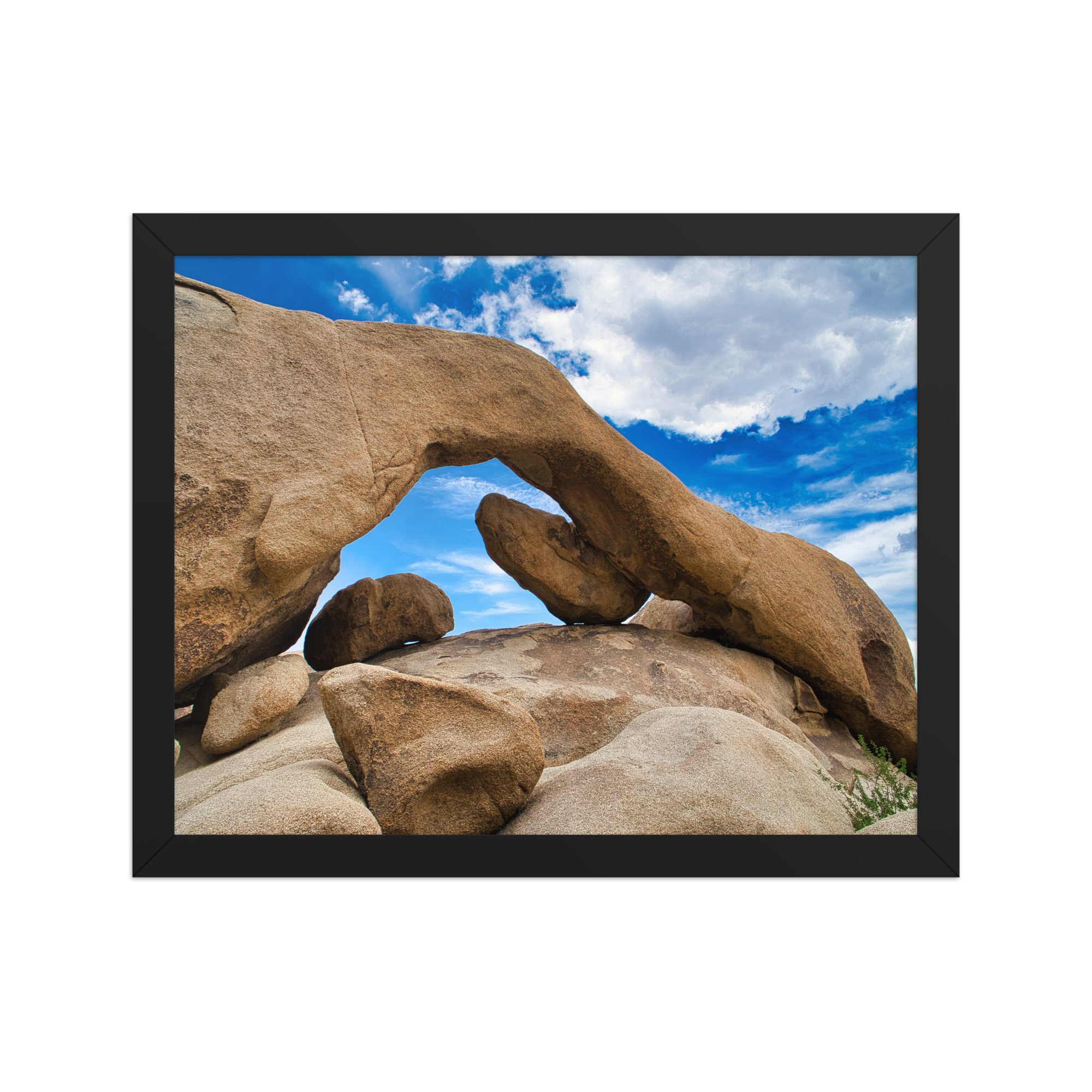 premium-luster-photo-paper-framed-poster-(in)-black-11x14-front-6a1db724f3d0b.png