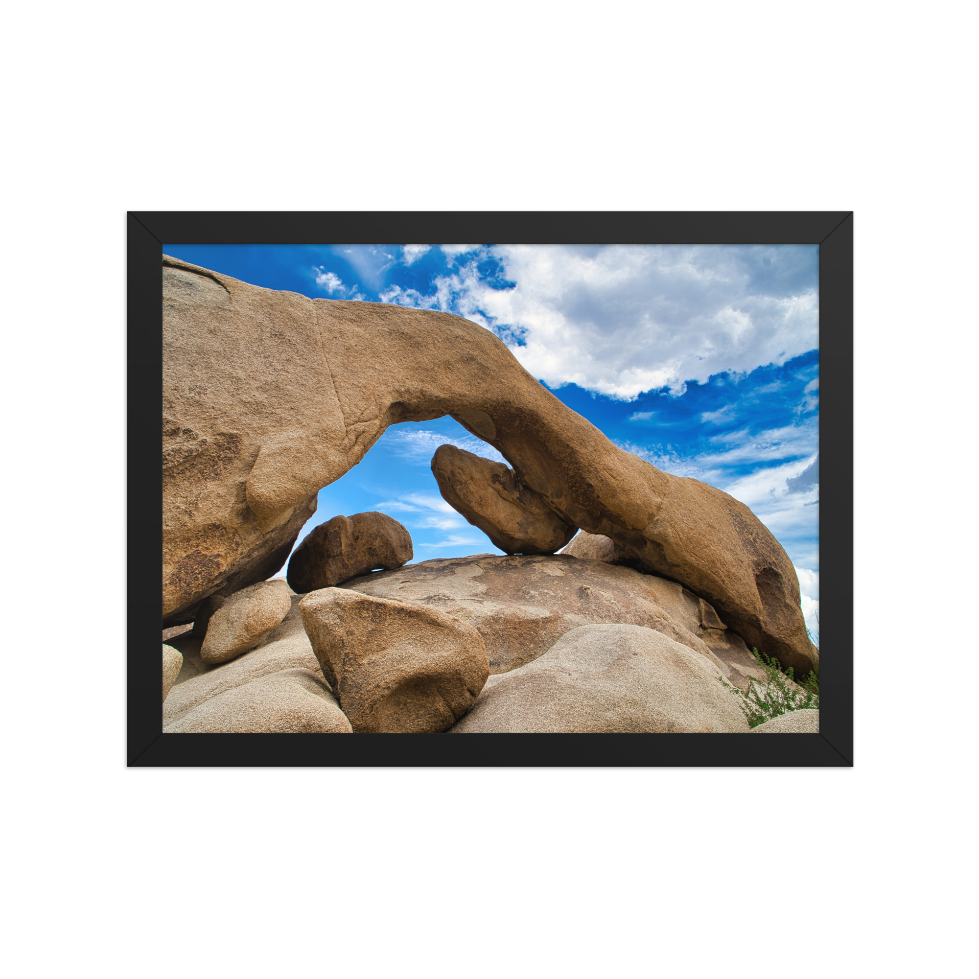 premium-luster-photo-paper-framed-poster-(in)-black-12x16-front-6a1db72500824.png